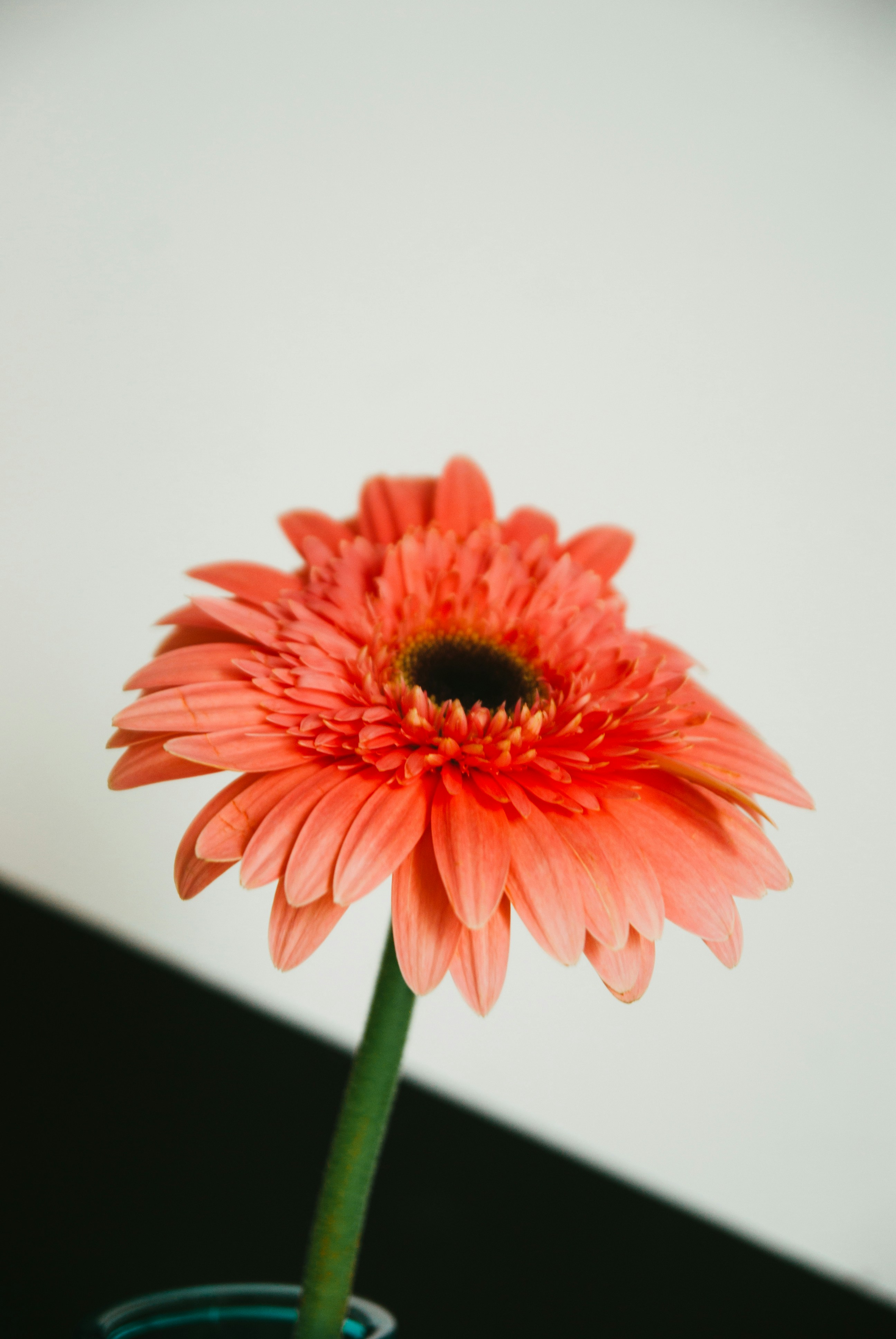 Photo by moonmoons_days