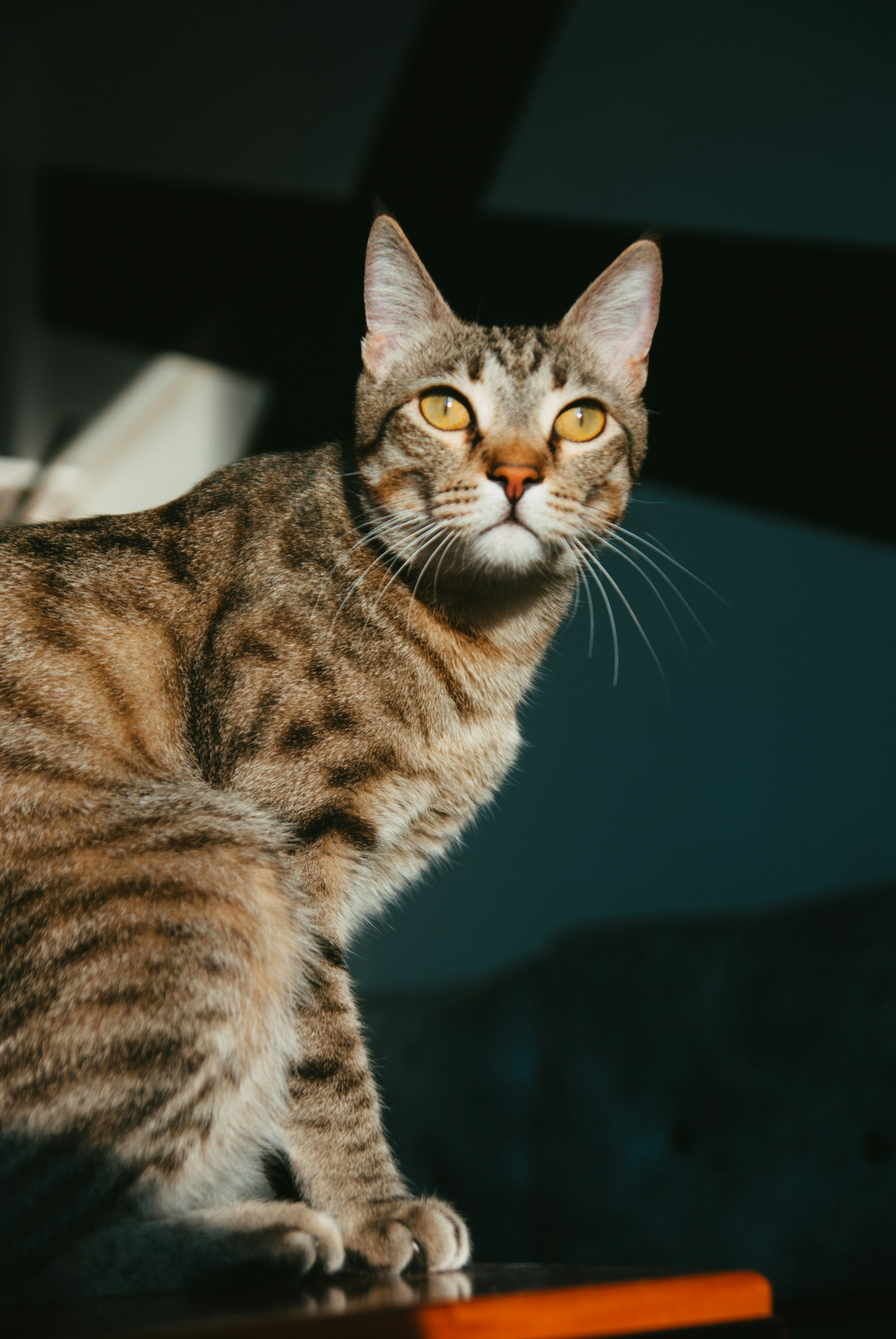 Photo by moonmoons_days