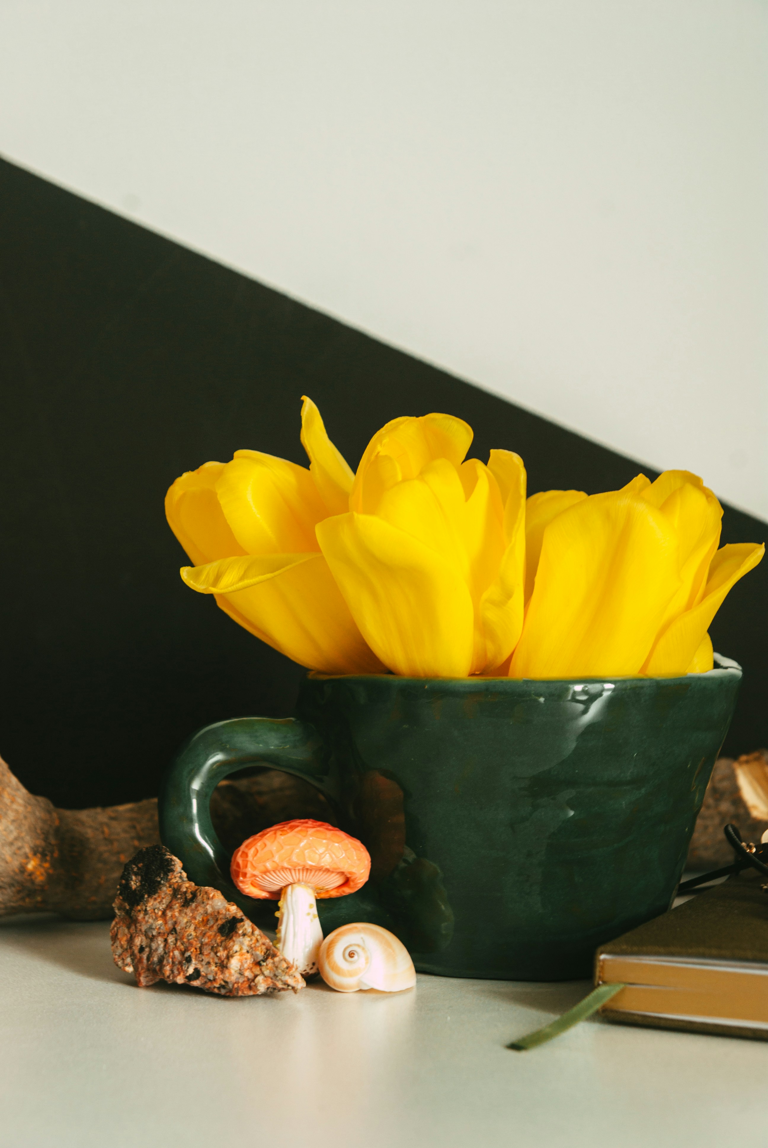 Photo by moonmoons_days