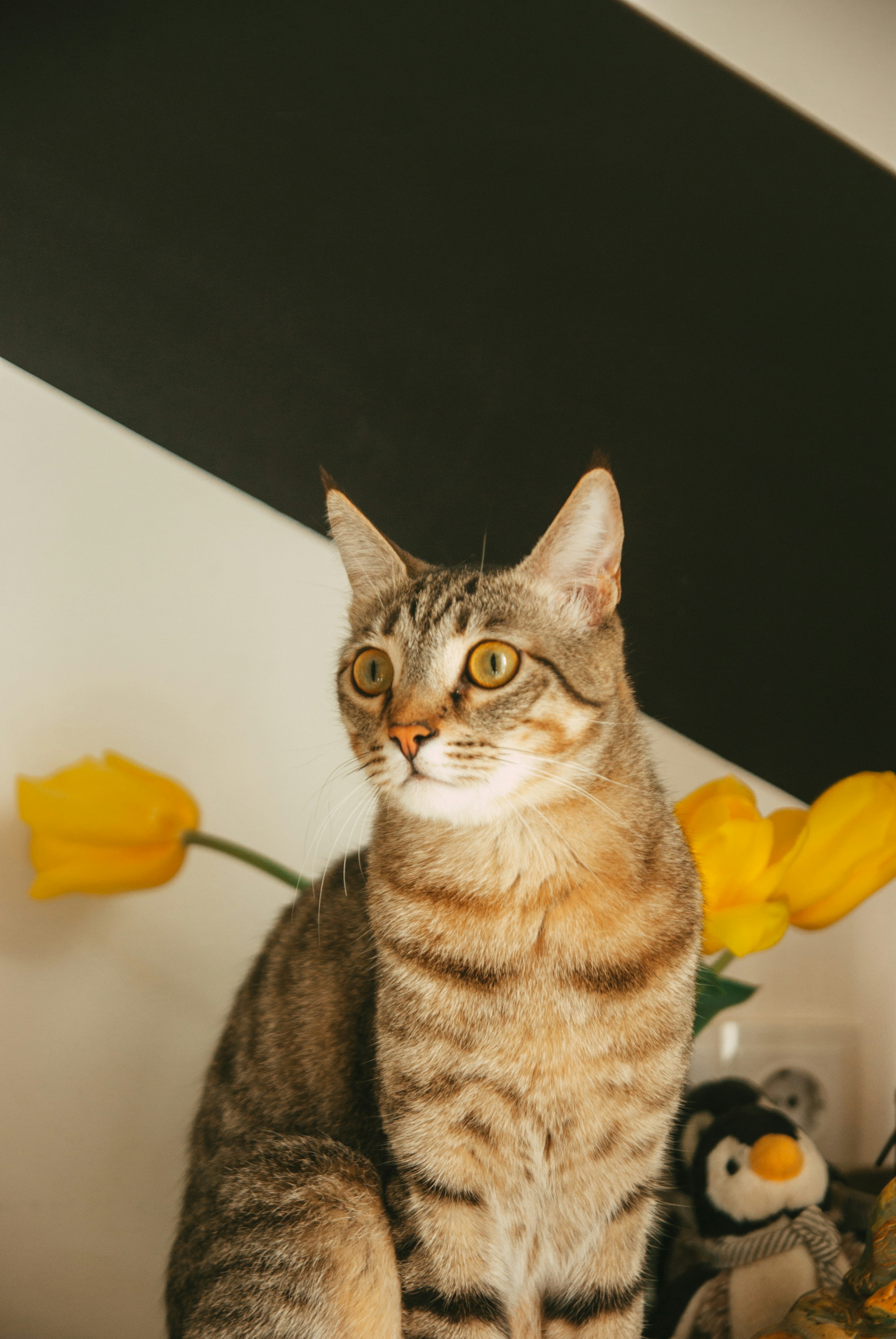 Photo by moonmoons_days