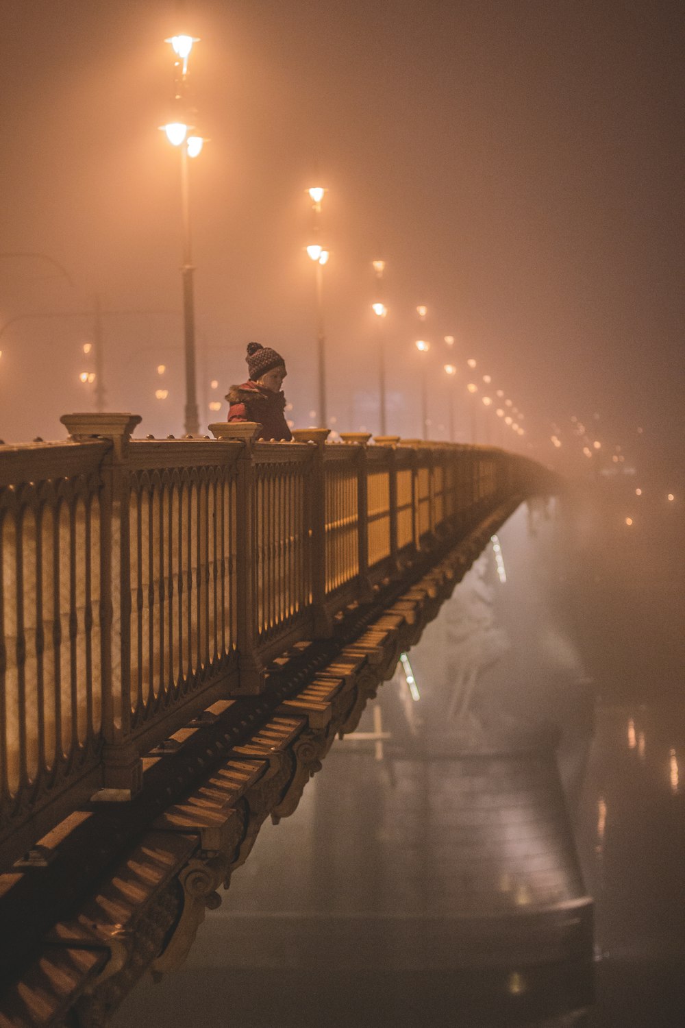 a person standing on a bridge in the fog