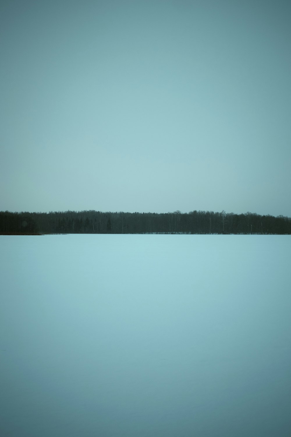 a large body of water with trees in the distance