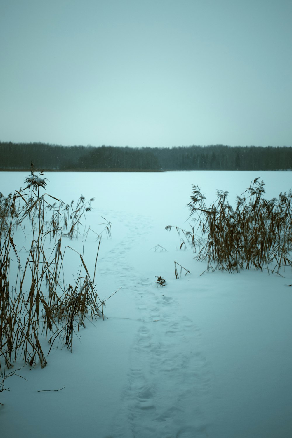 a view of a snowy field with a lake in the background