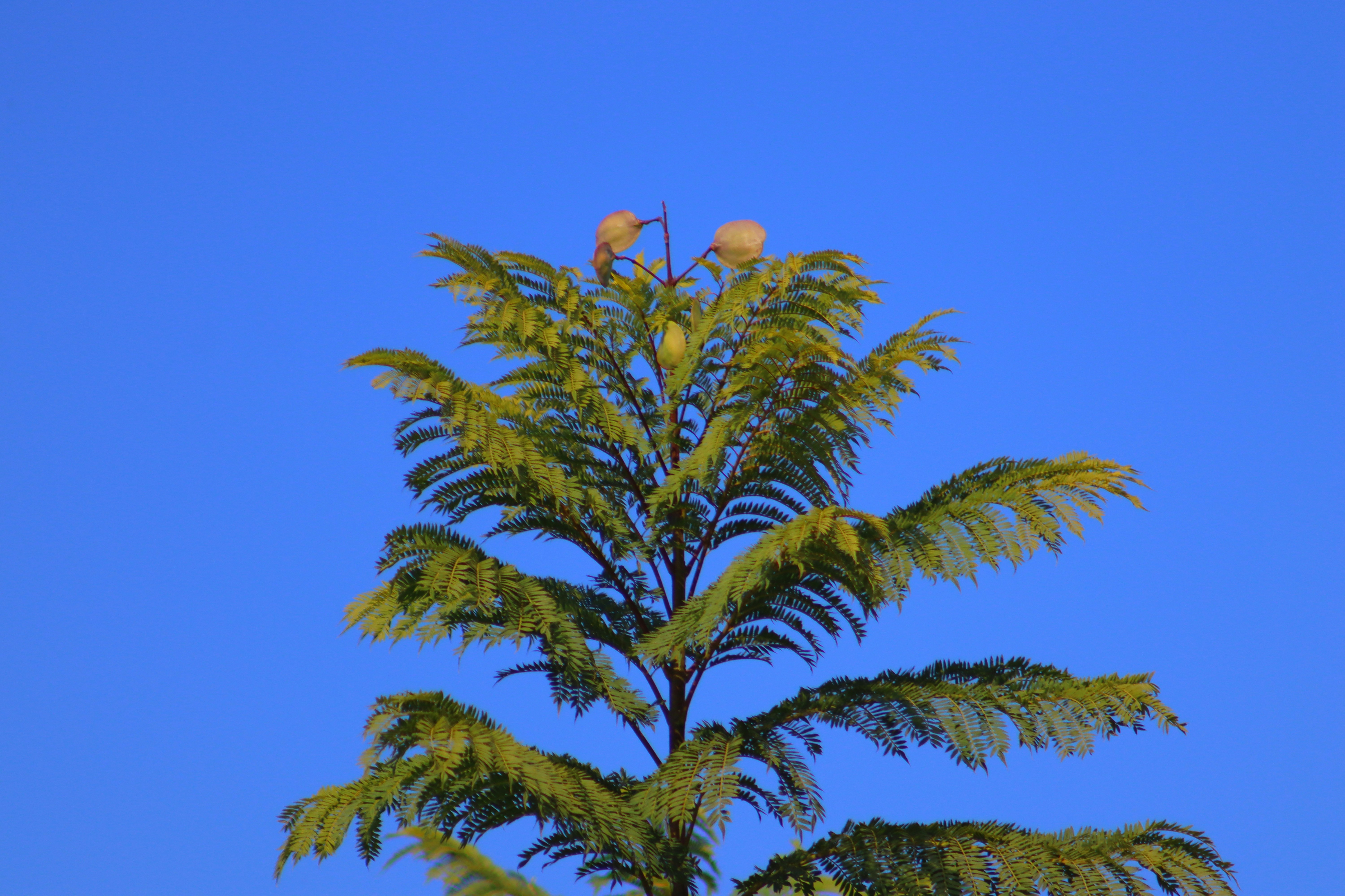 Photo by alihamzatullah