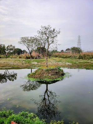 Lodha Sarjapur Road USP - Lakeside Living