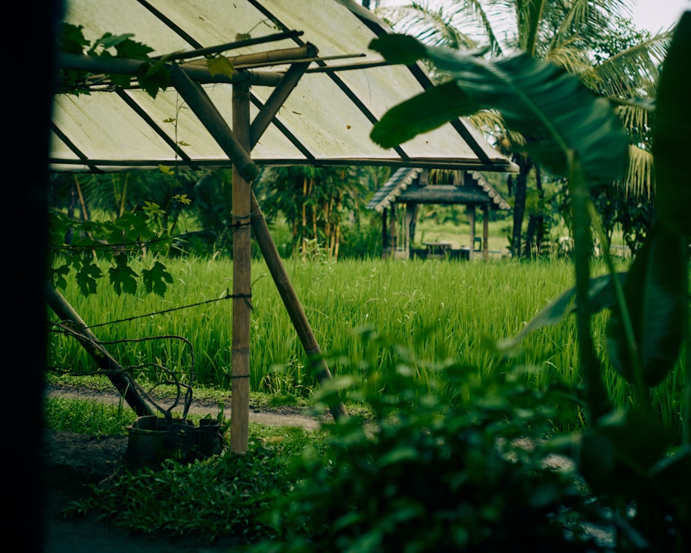 a wooden structure sitting in the middle of a lush green field