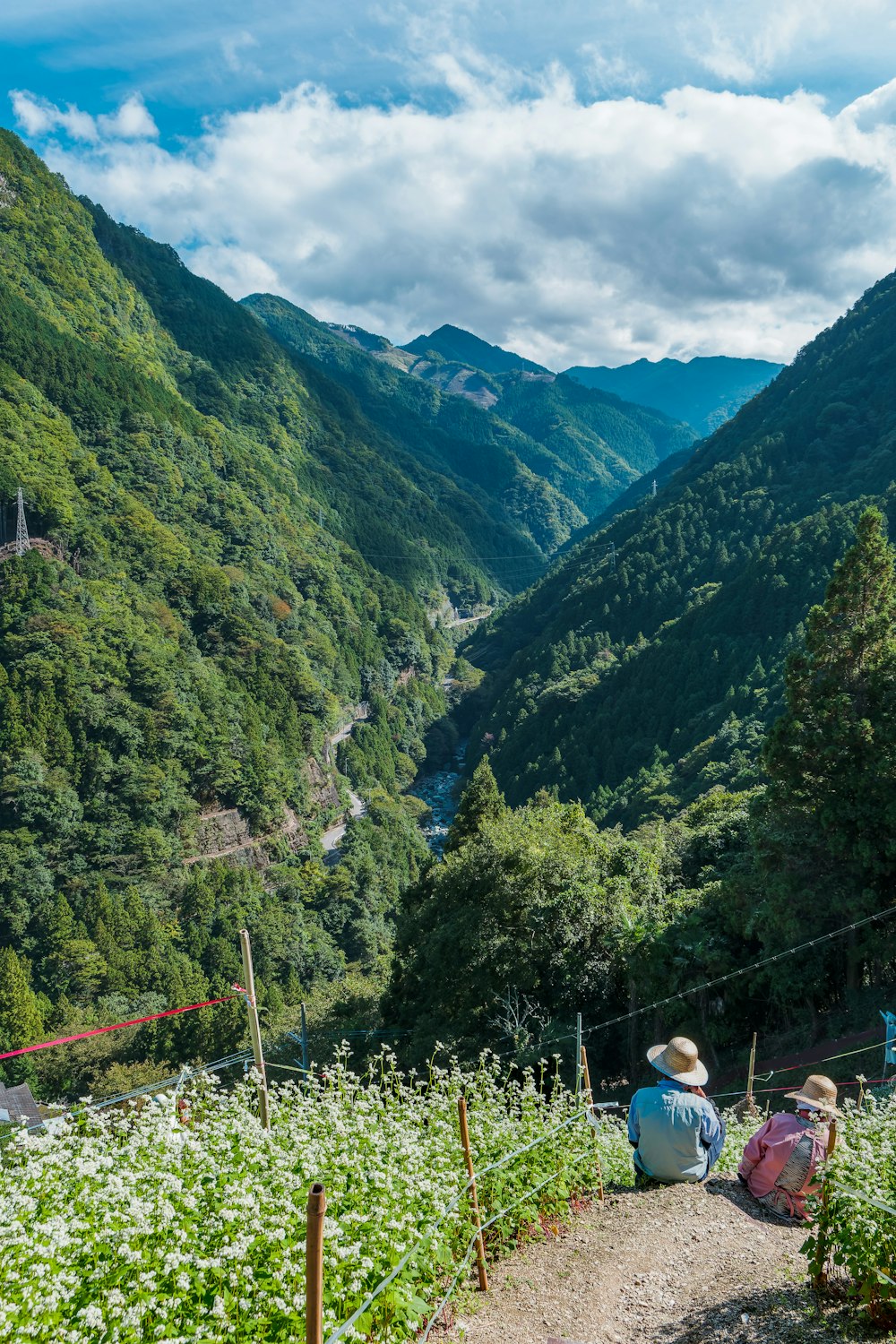 a couple of people sitting on top of a lush green hillside