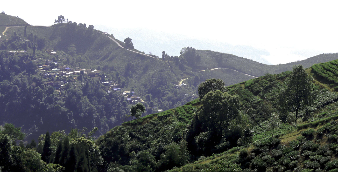 Darjeeling, Kalimpong & Gangtok