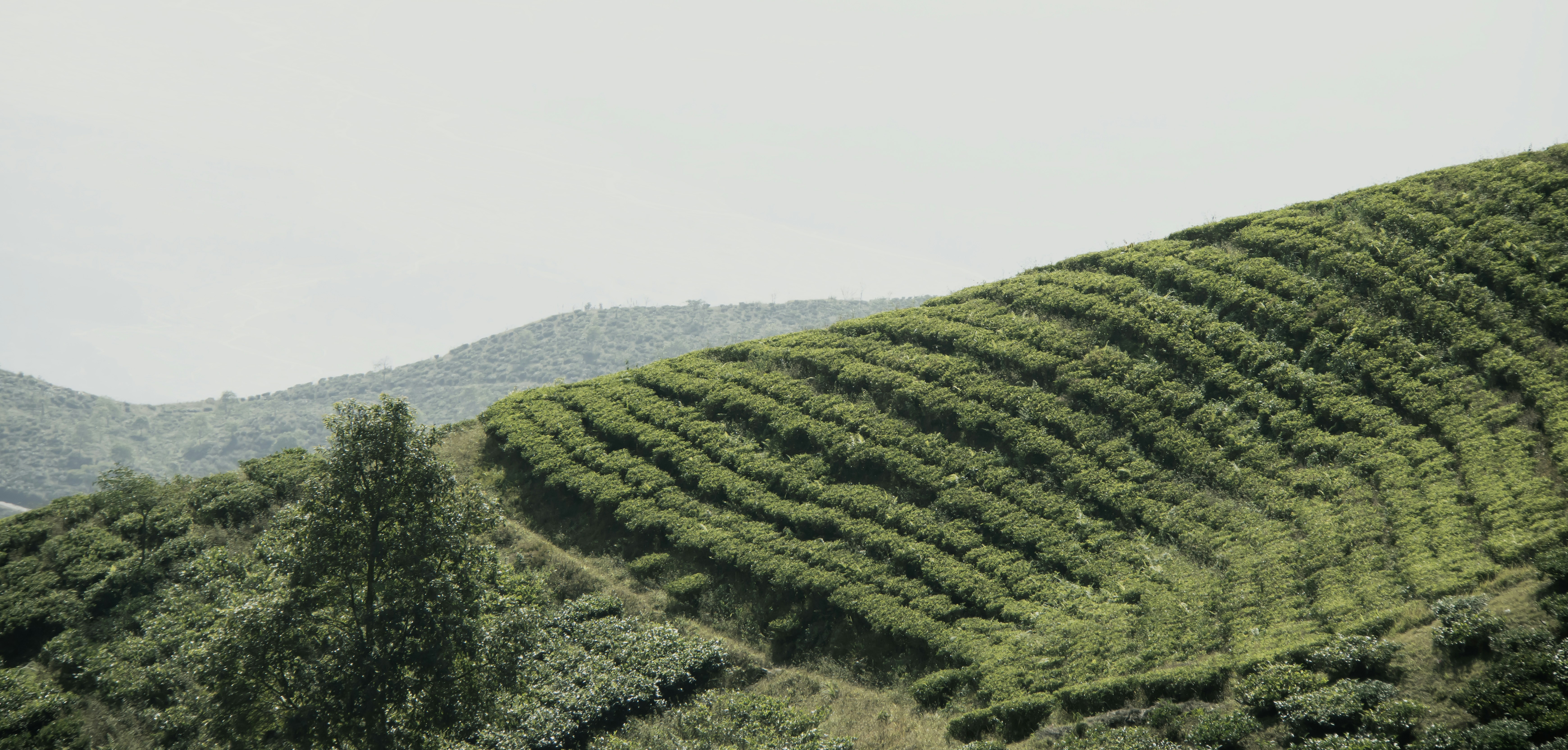 Photo by mhphotography13