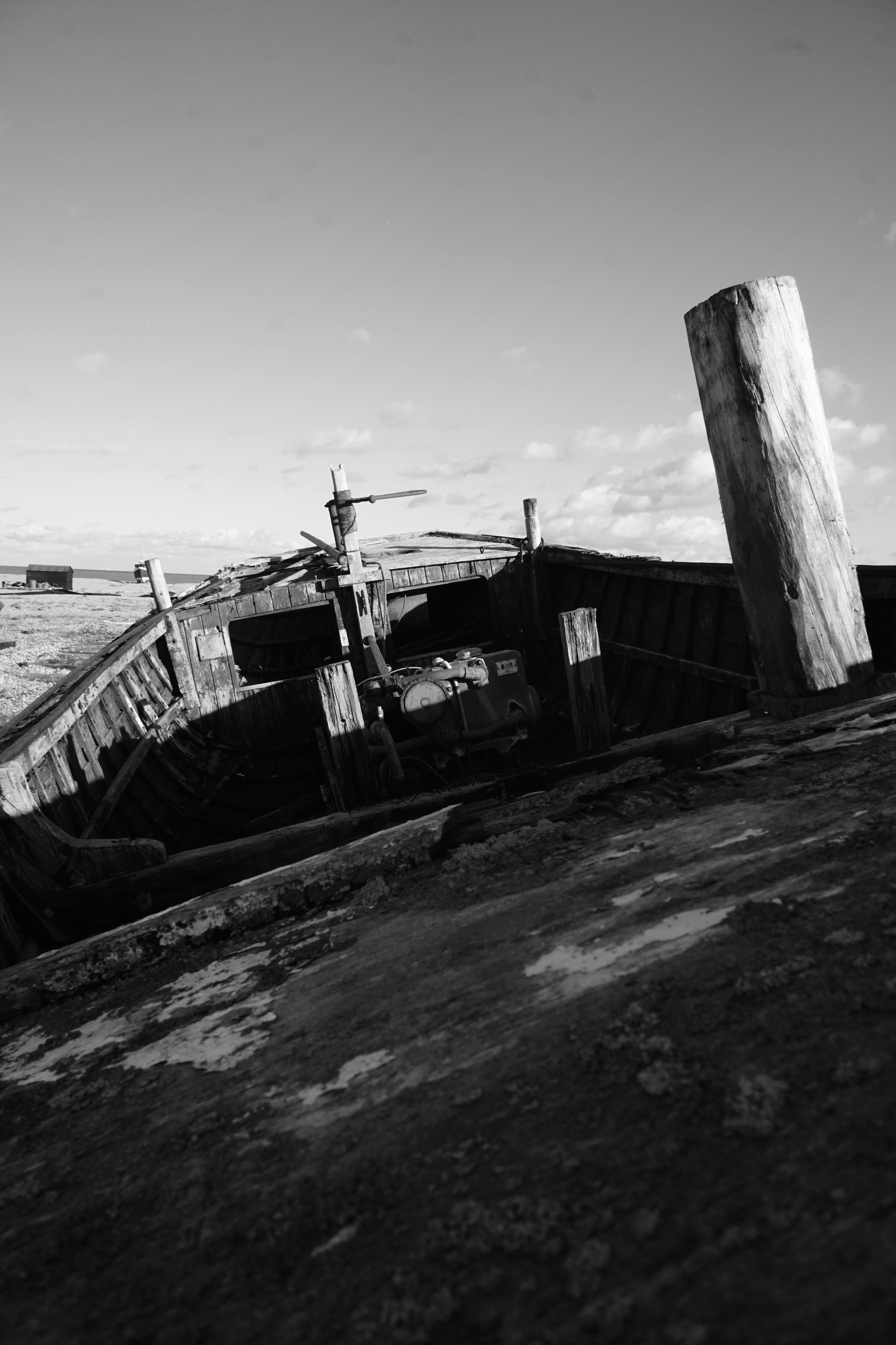 Photo by luca_capron