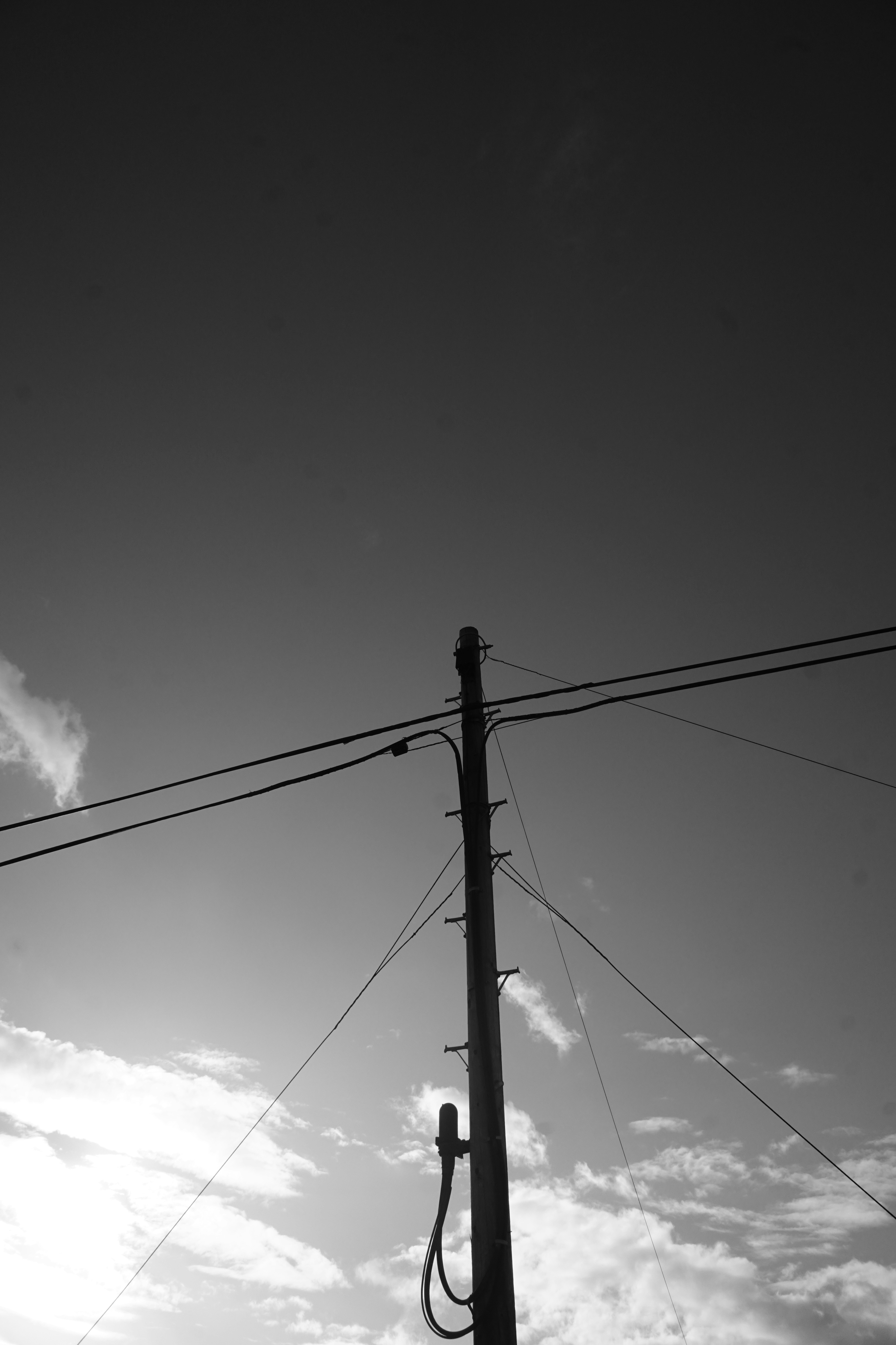 Photo by luca_capron