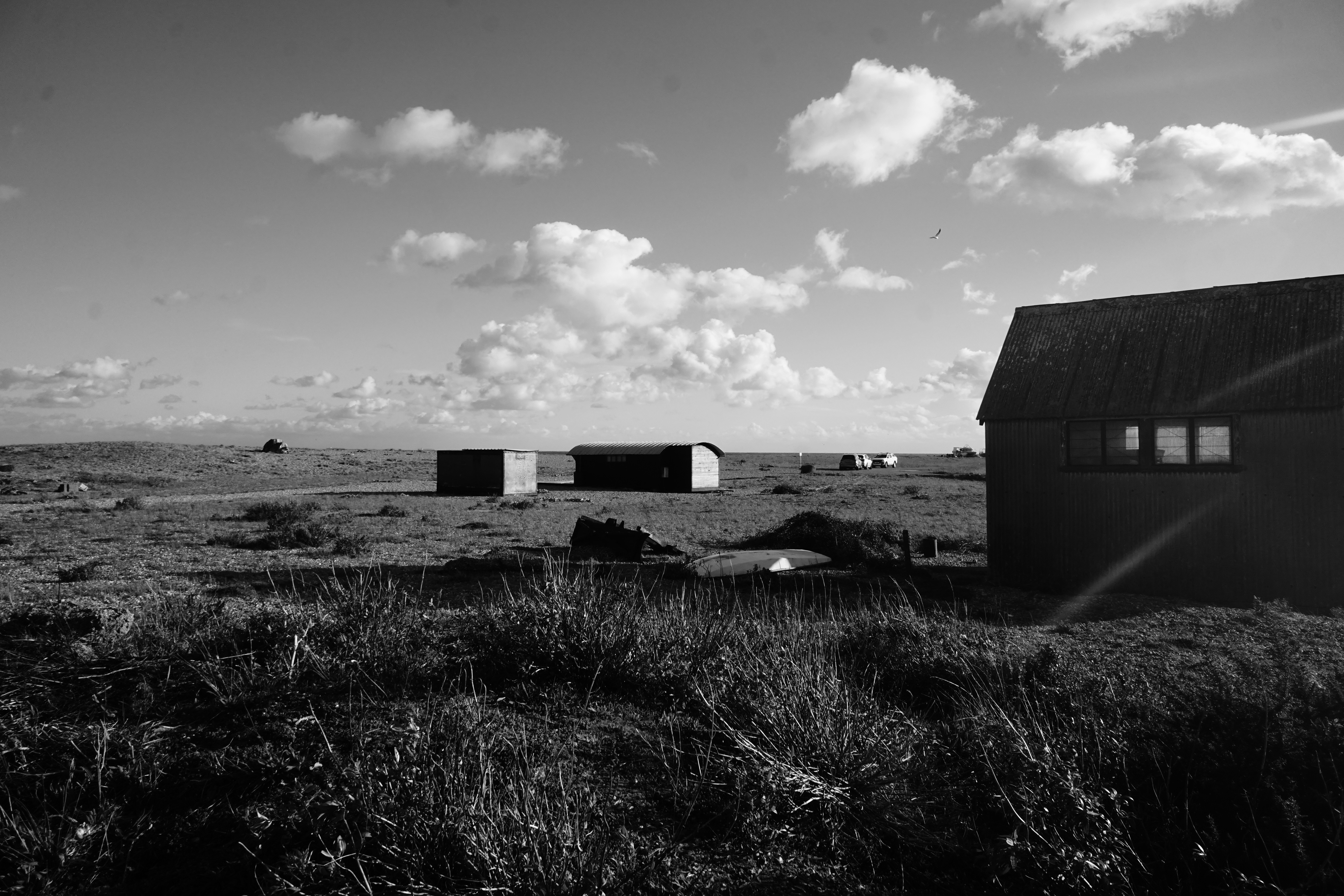 Photo by luca_capron