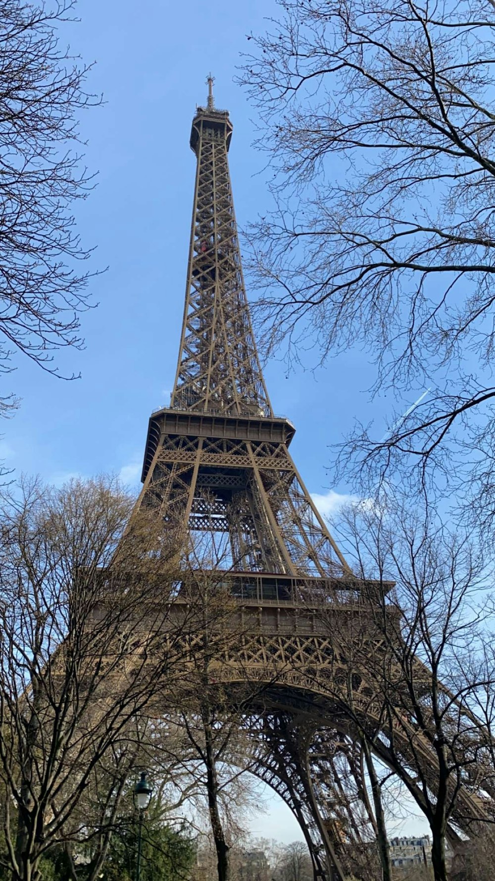 the eiffel tower is surrounded by trees