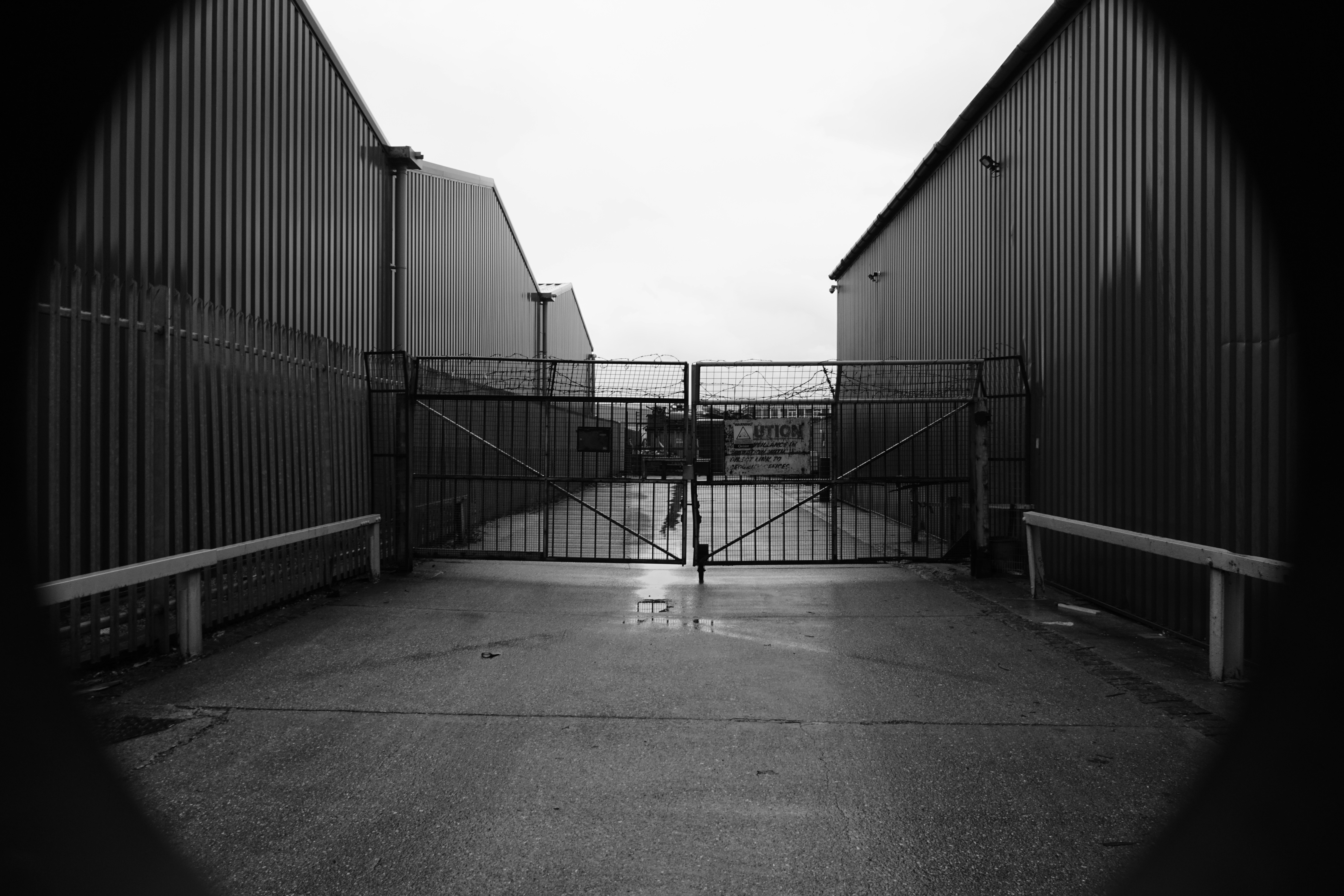 Photo by luca_capron