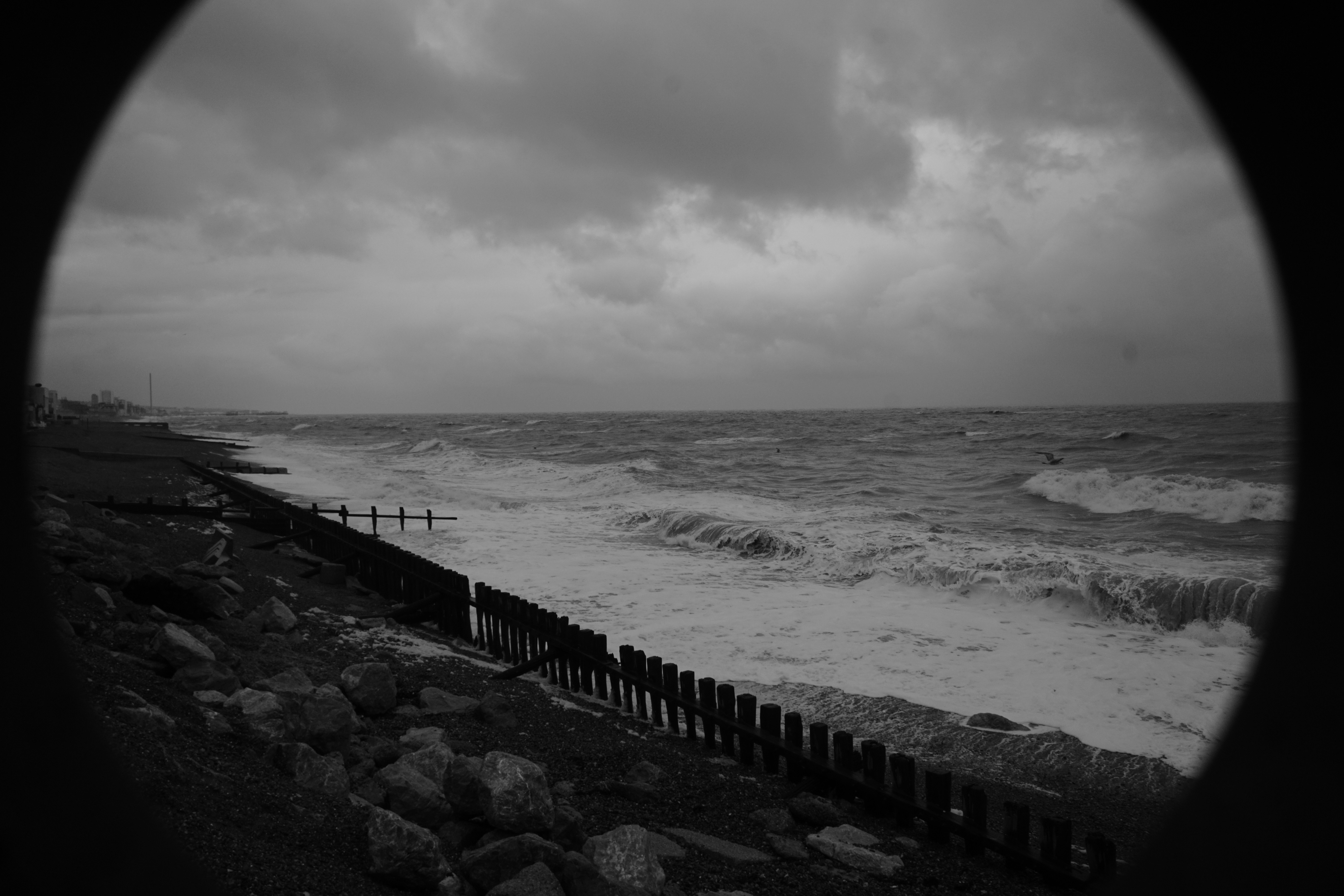 Photo by luca_capron