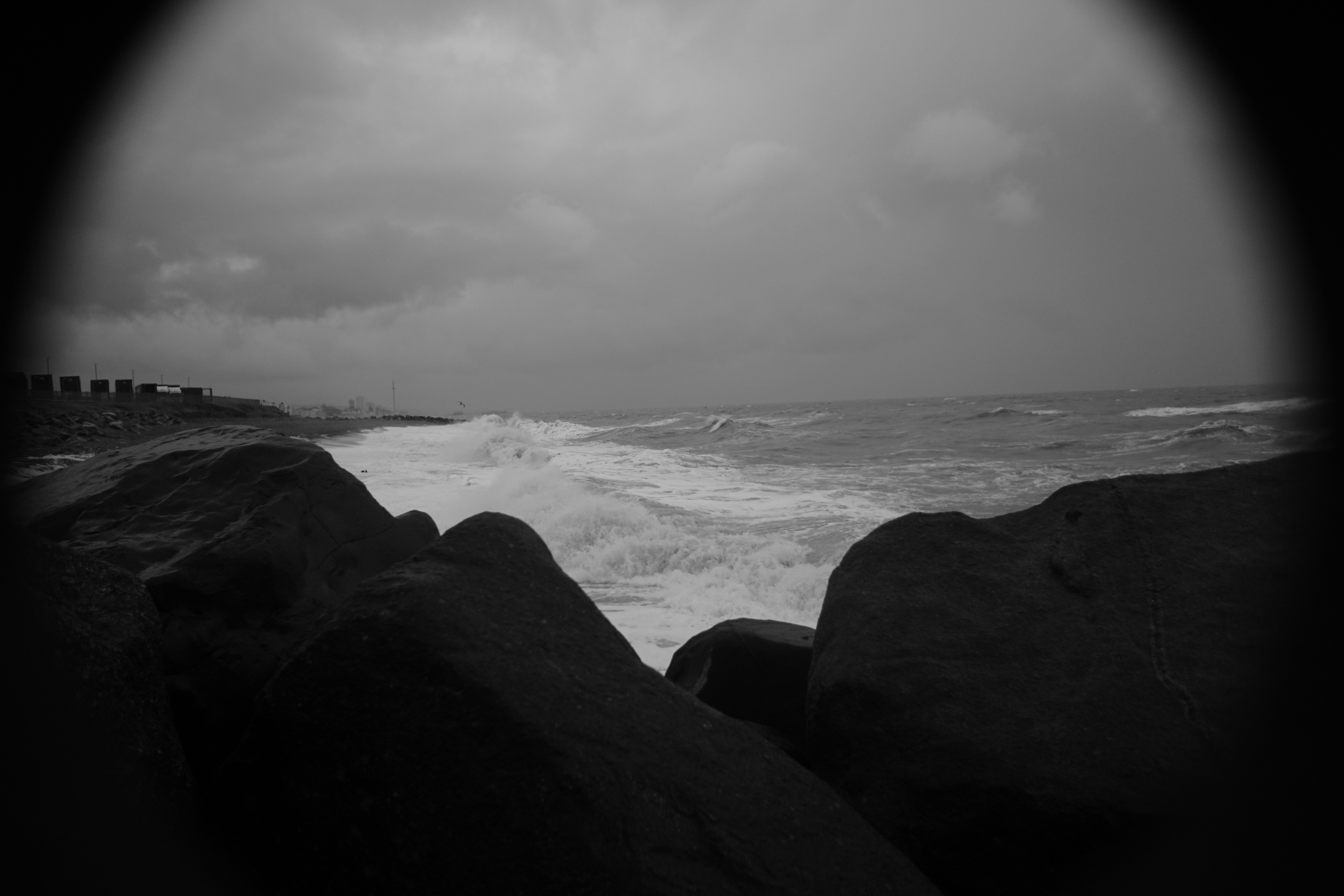 Photo by luca_capron