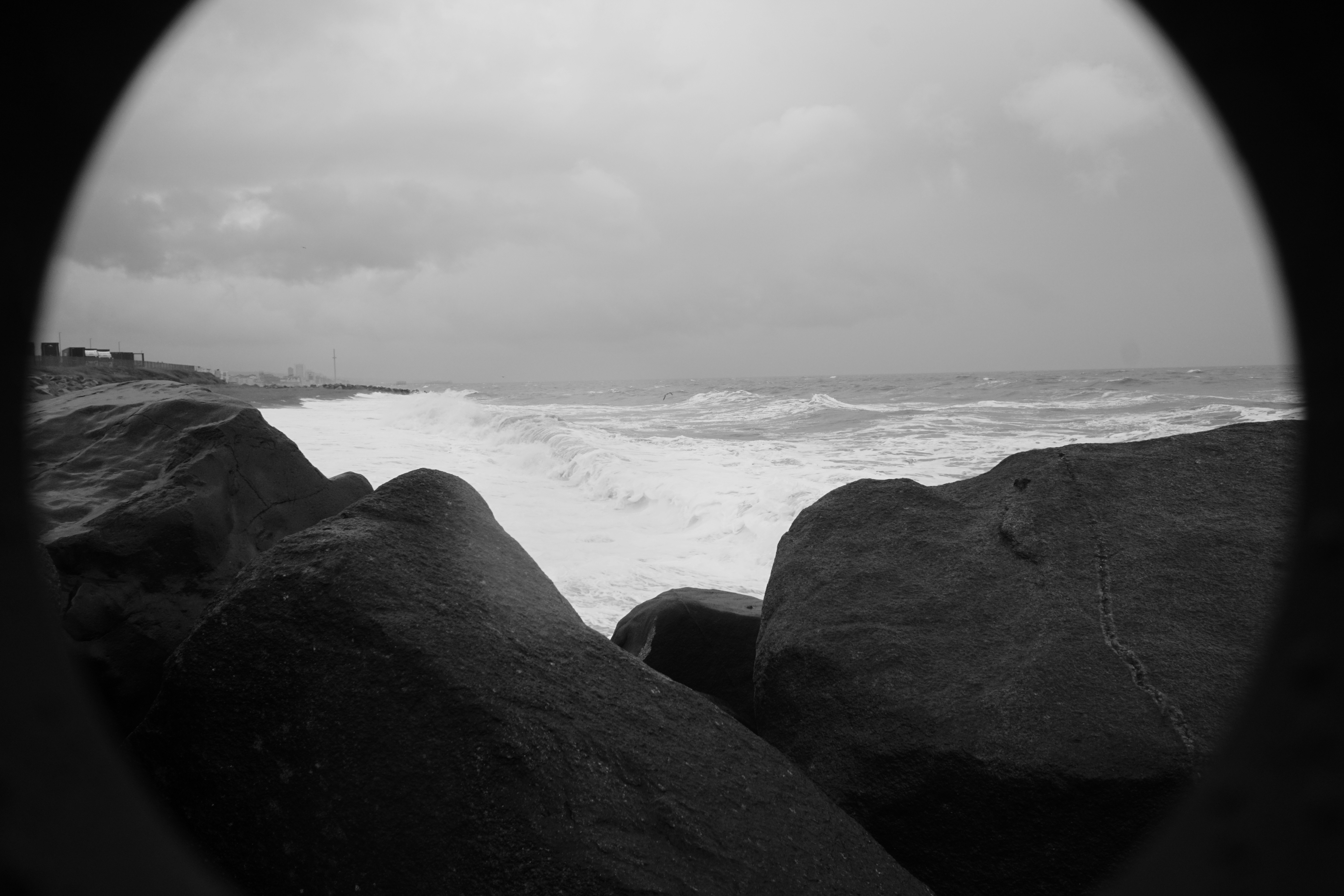 Photo by luca_capron