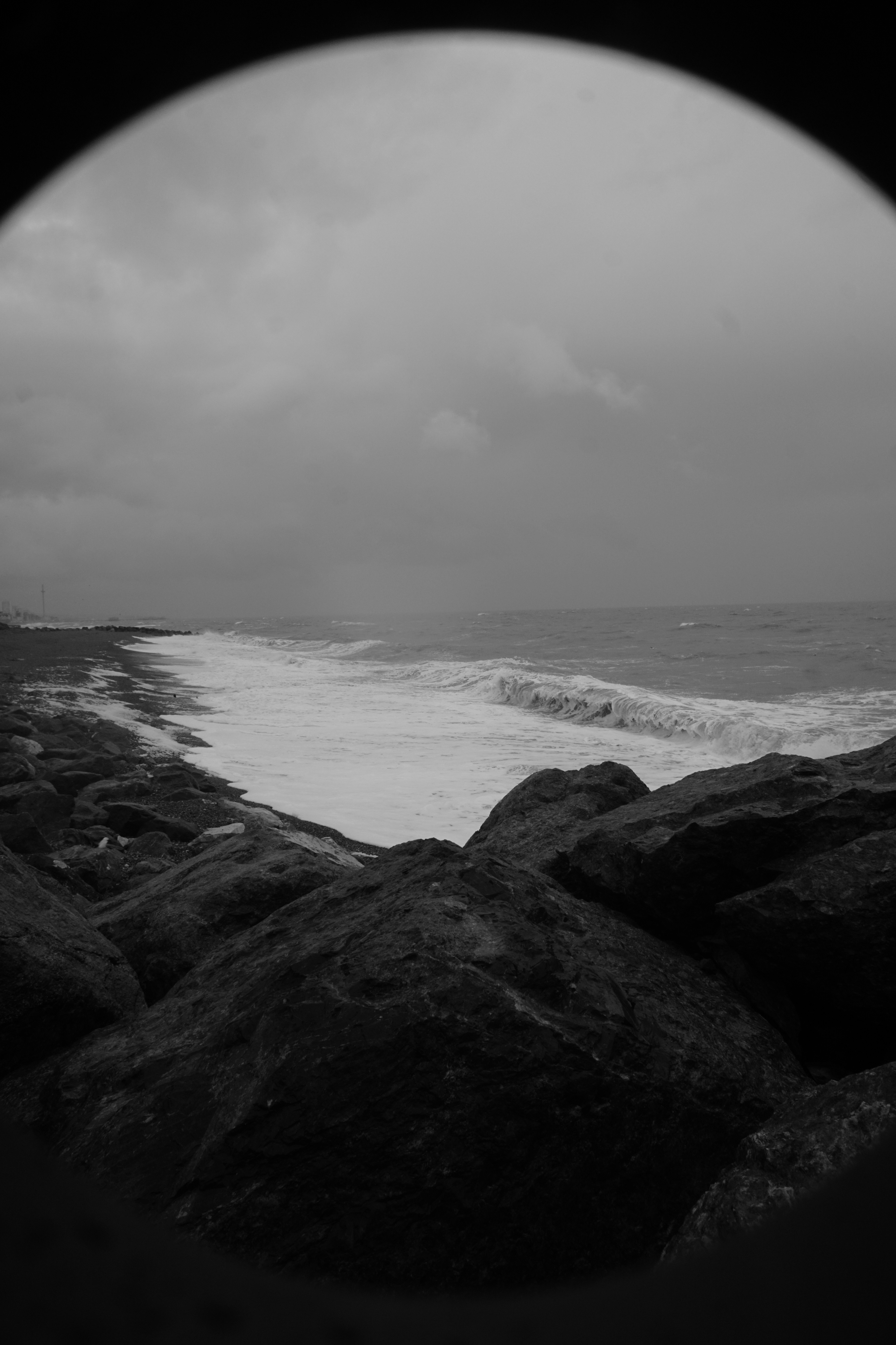 Photo by luca_capron