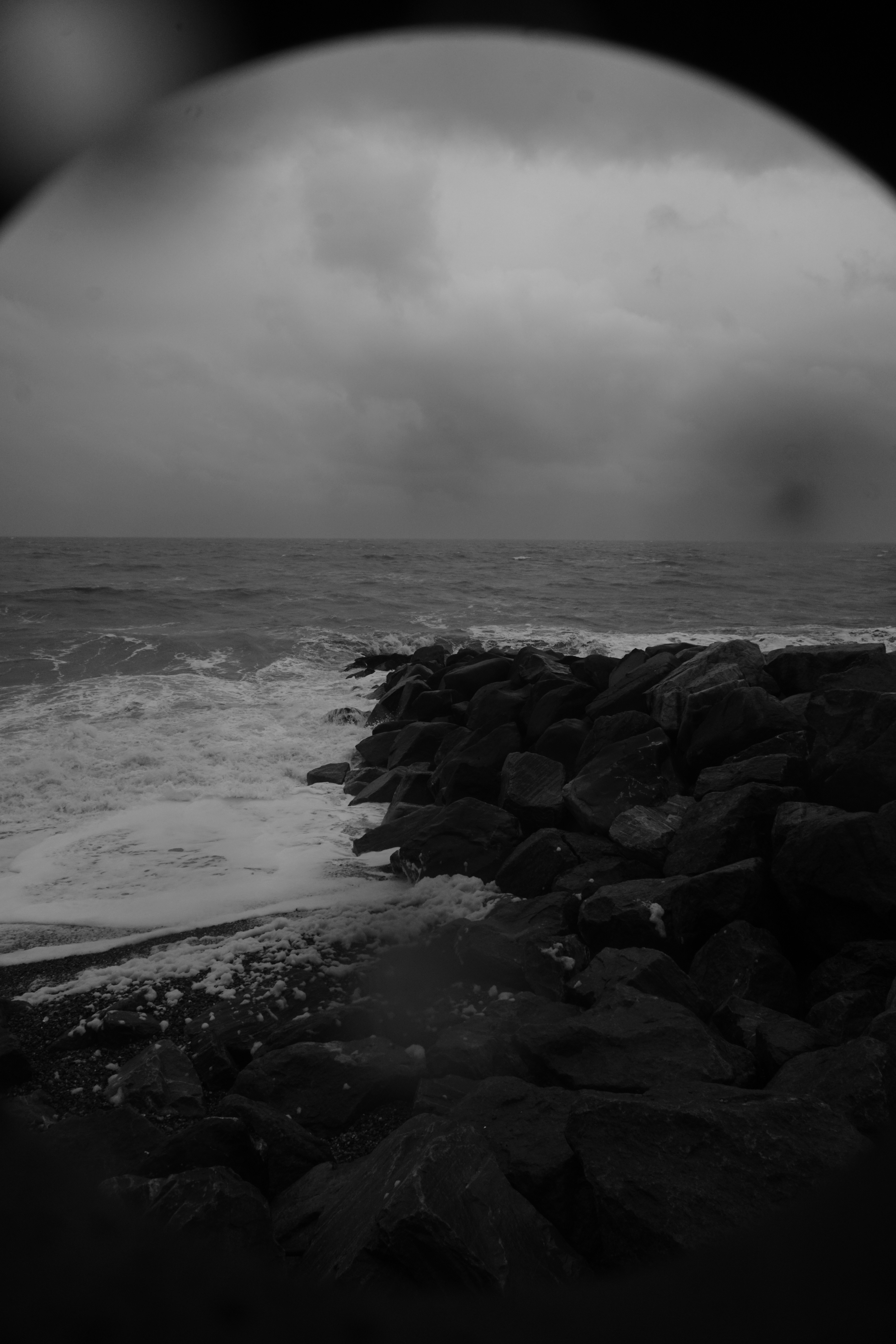 Photo by luca_capron