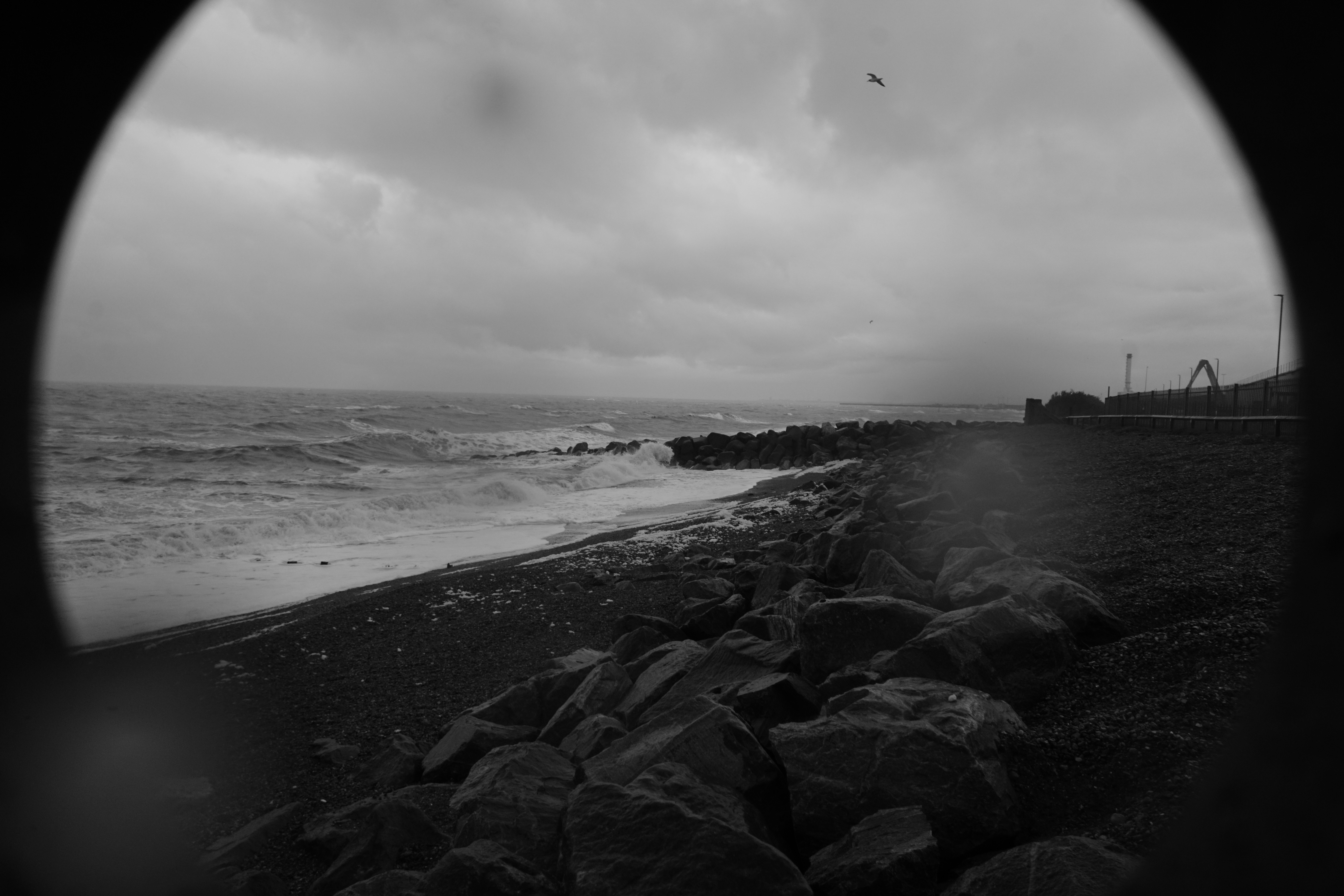 Photo by luca_capron