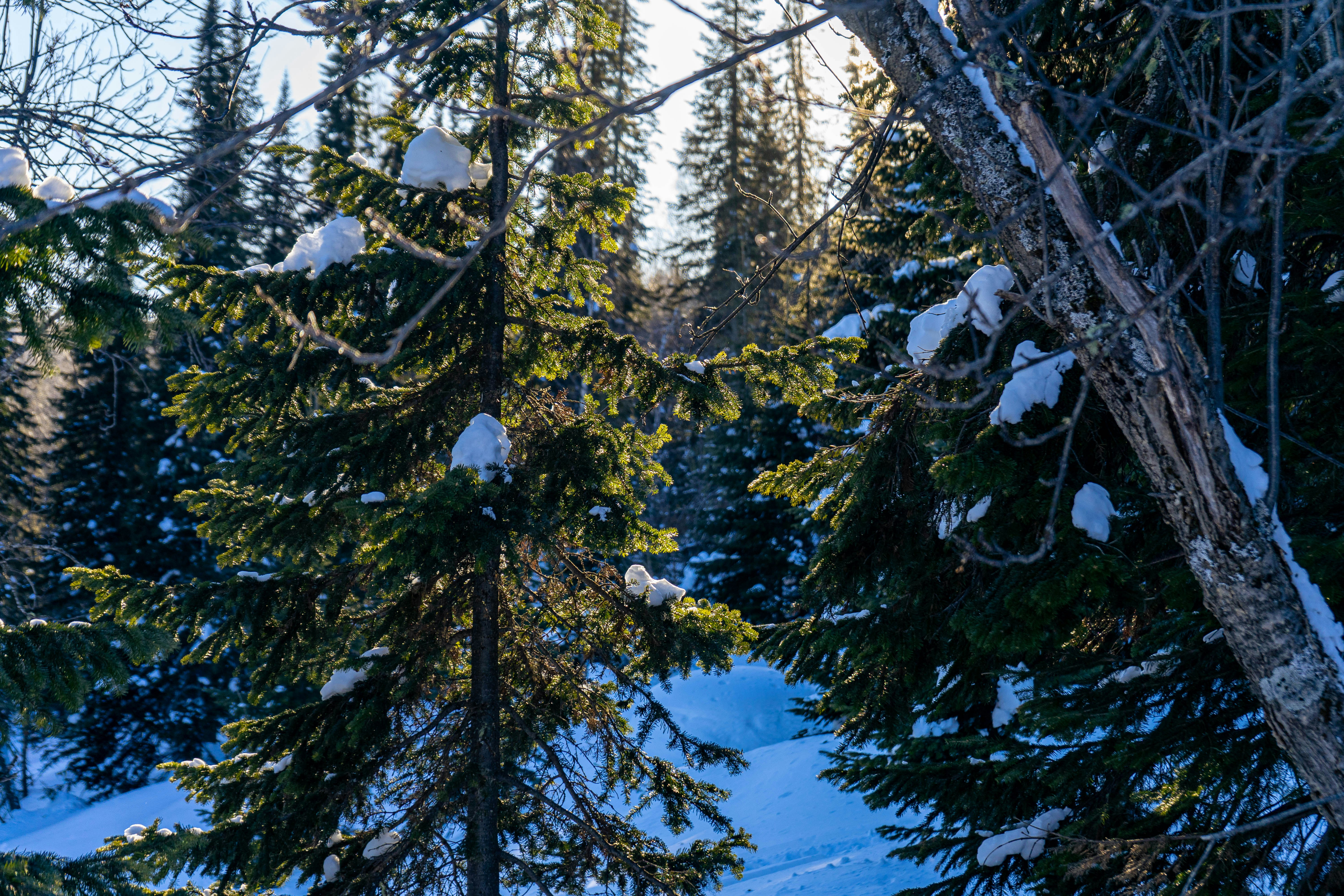 Photo by vinogradov_mike