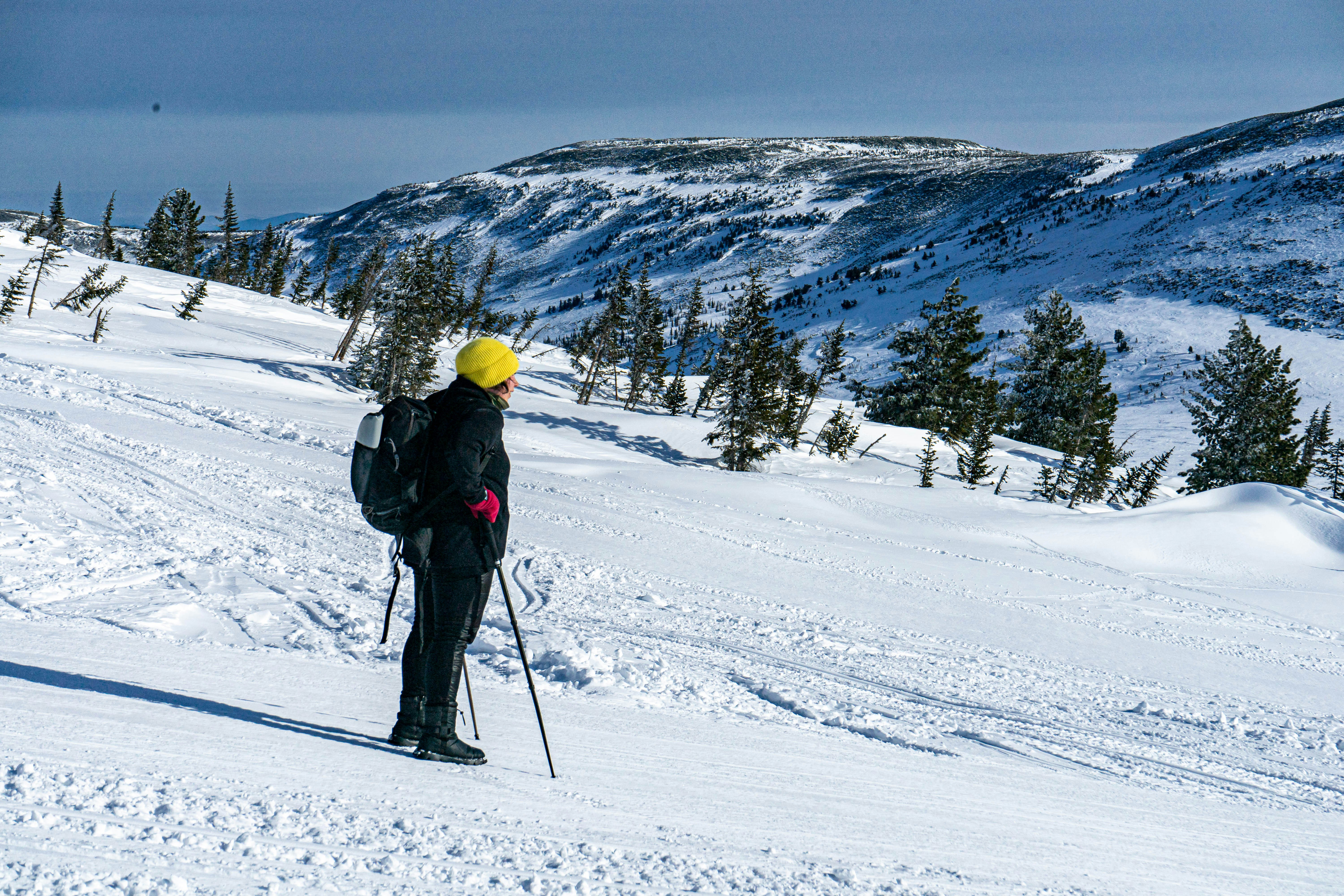 Photo by vinogradov_mike