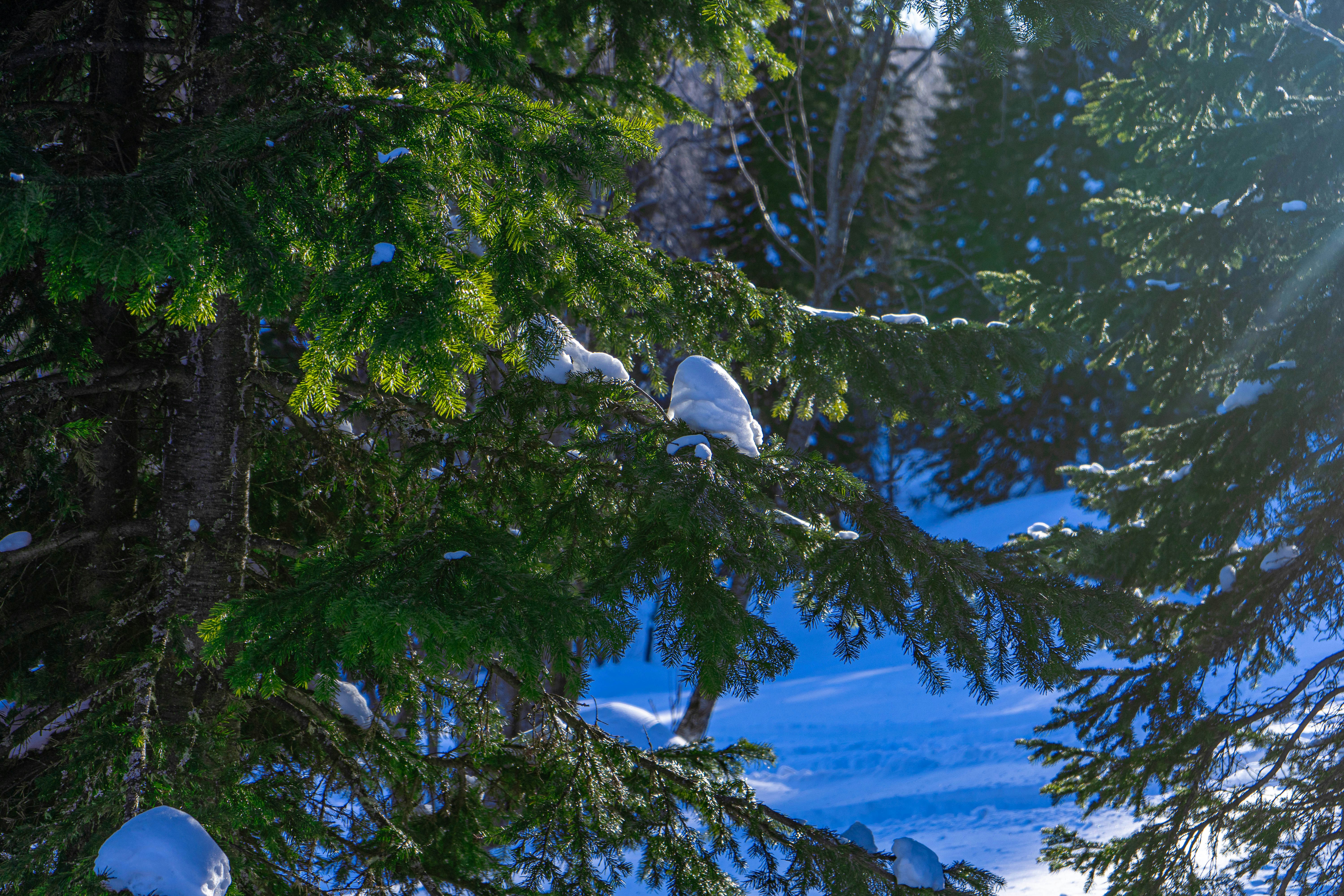 Photo by vinogradov_mike