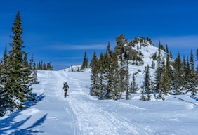 a man riding skis down a snow covered slope
