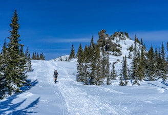 a man riding skis down a snow covered slope