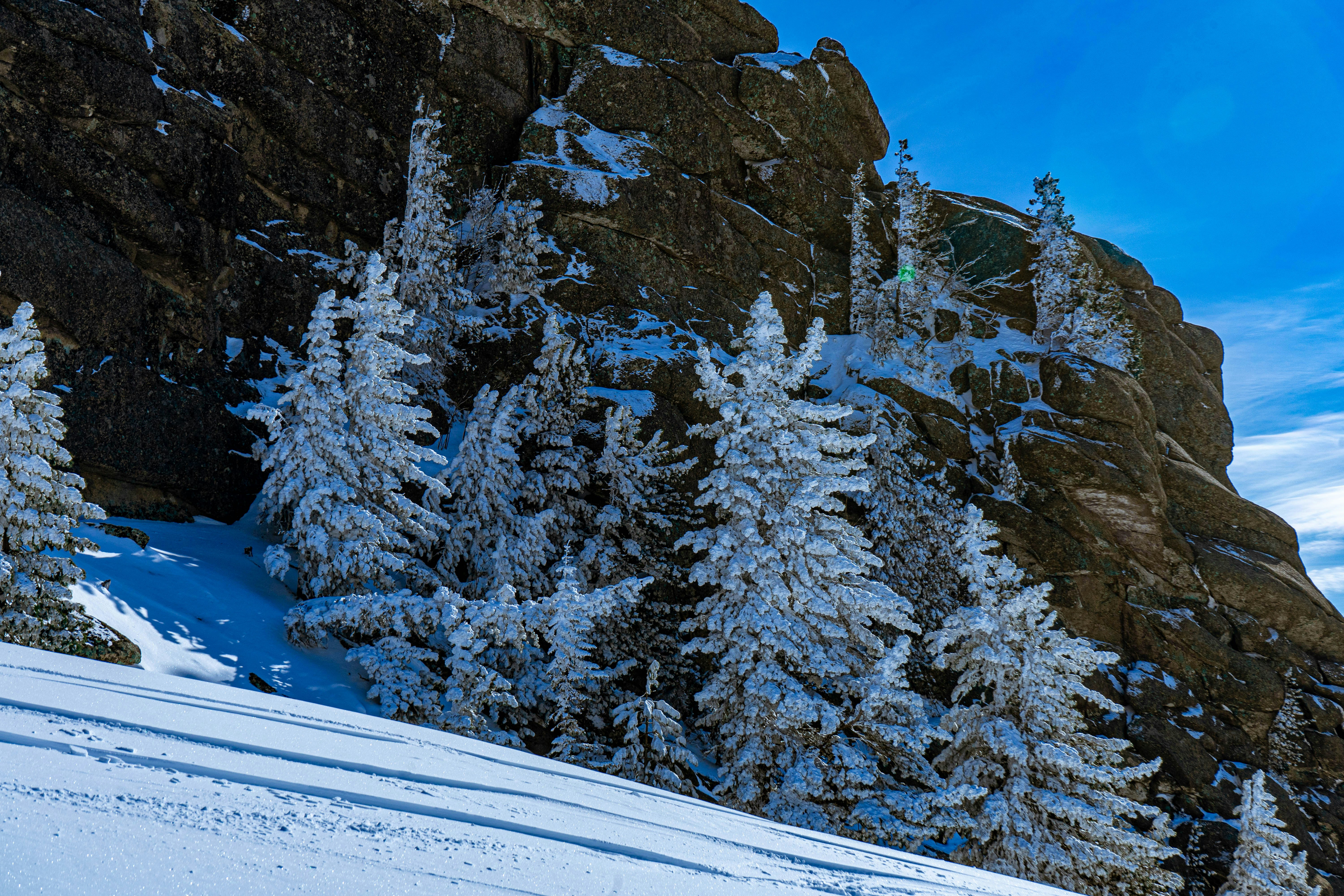 Photo by vinogradov_mike