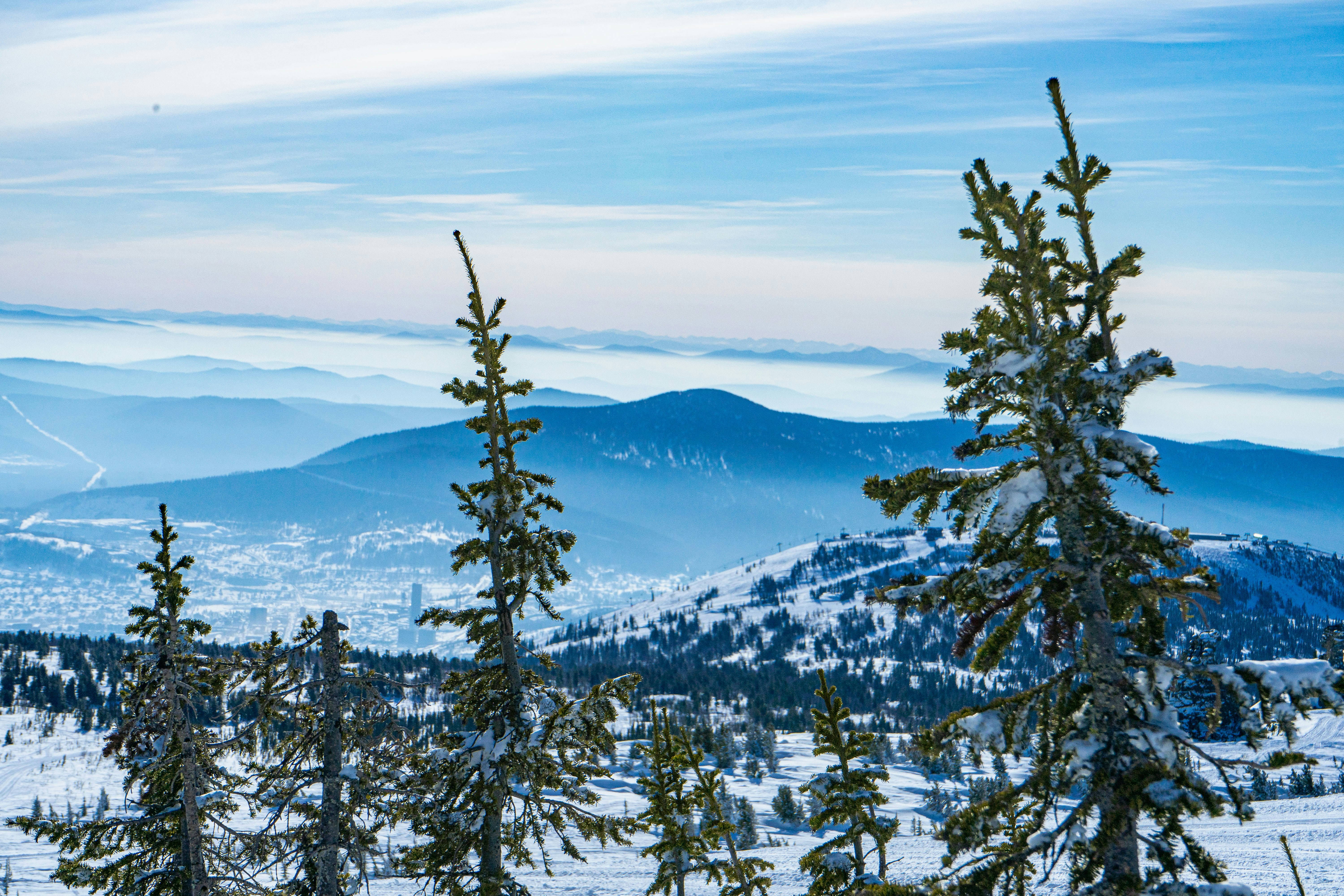 Photo by vinogradov_mike