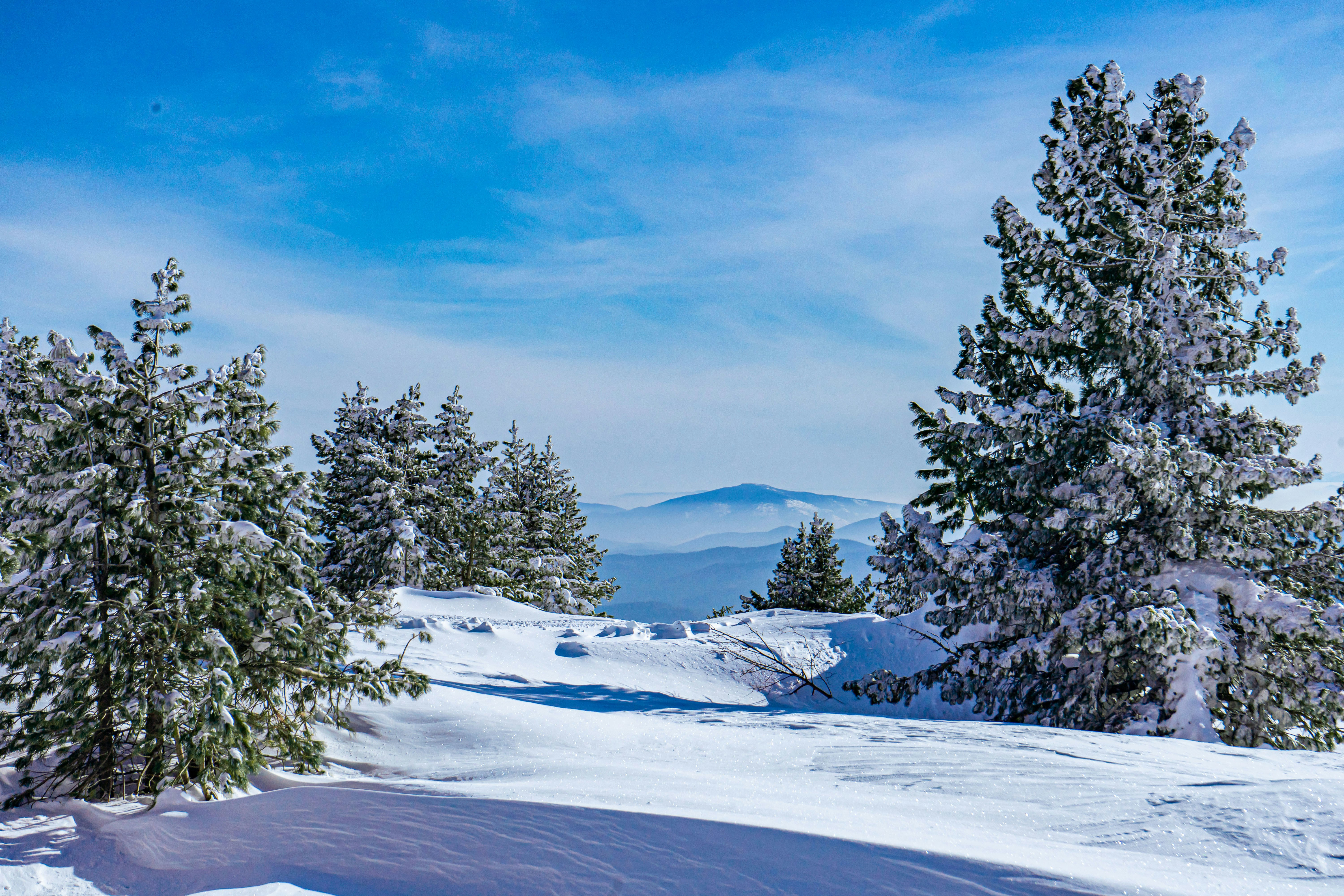 Photo by vinogradov_mike