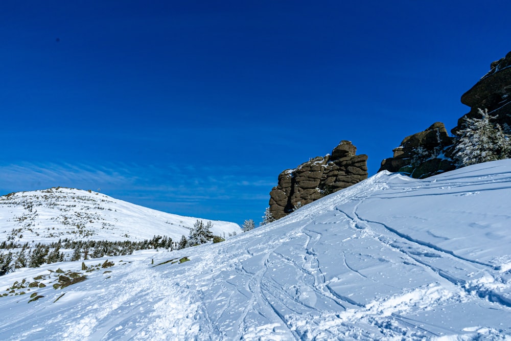 雪に覆われた斜面をスキーで滑り降りる男性