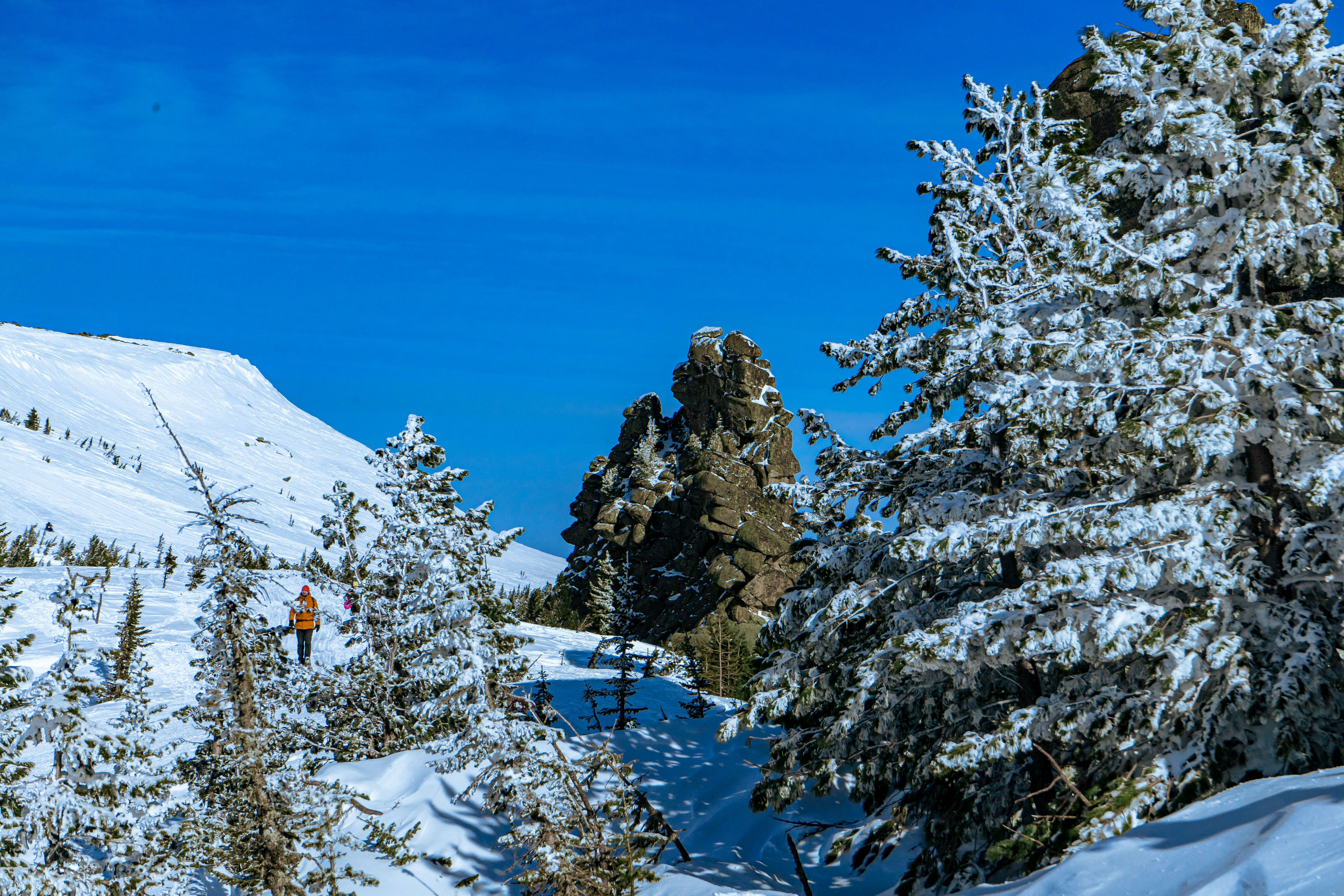 мужчина спускается на лыжах по заснеженному склону