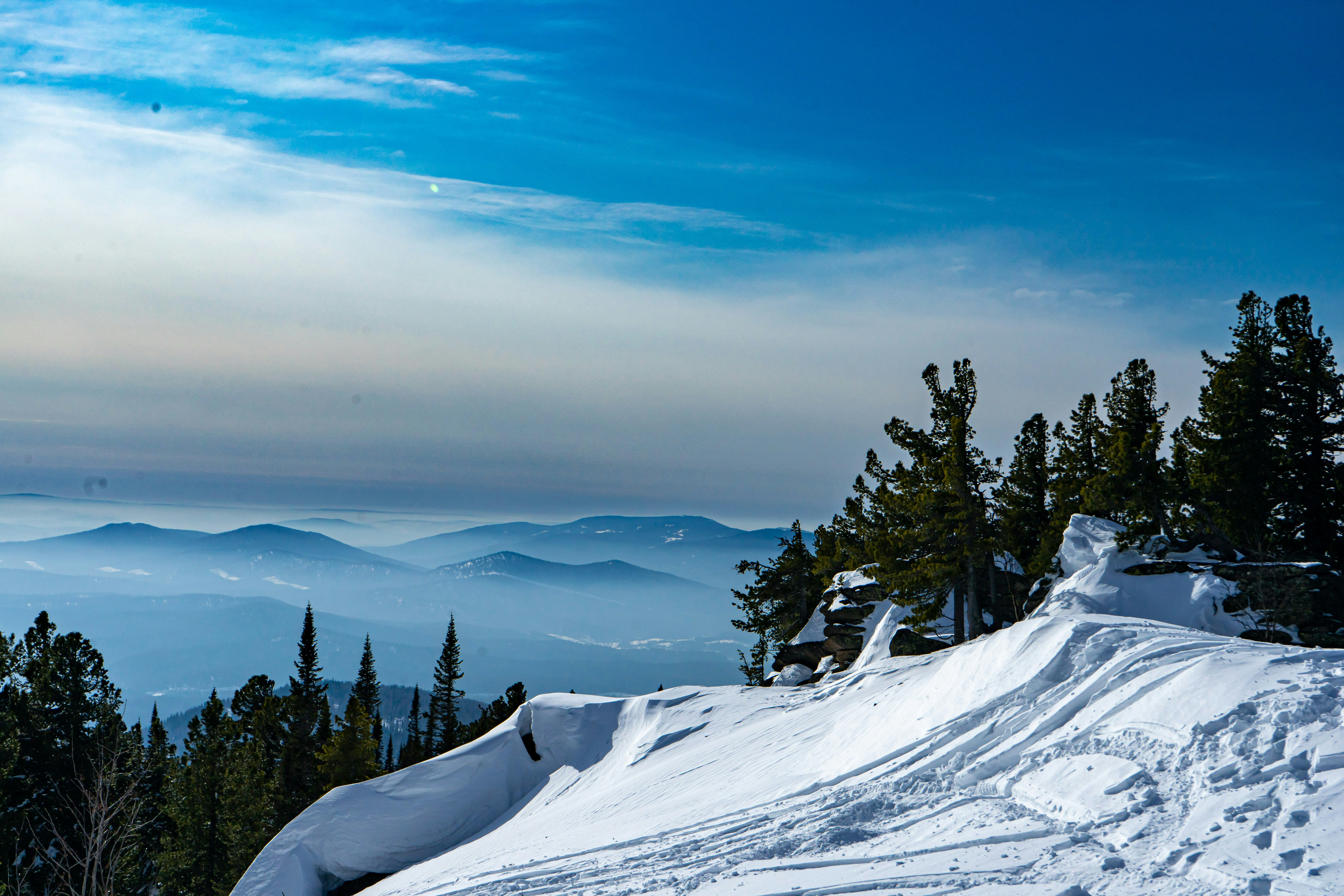 Photo by vinogradov_mike