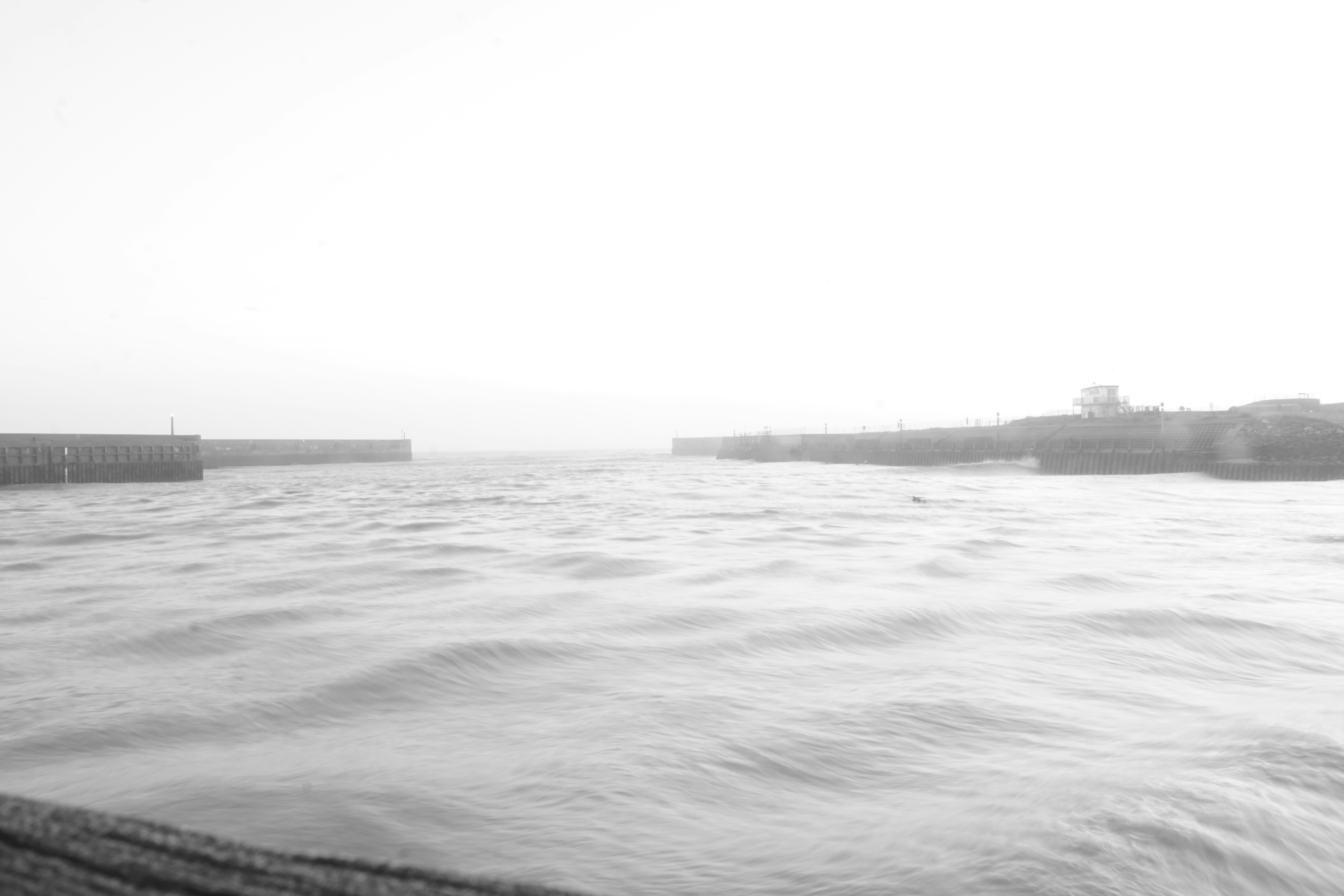 Photo by luca_capron