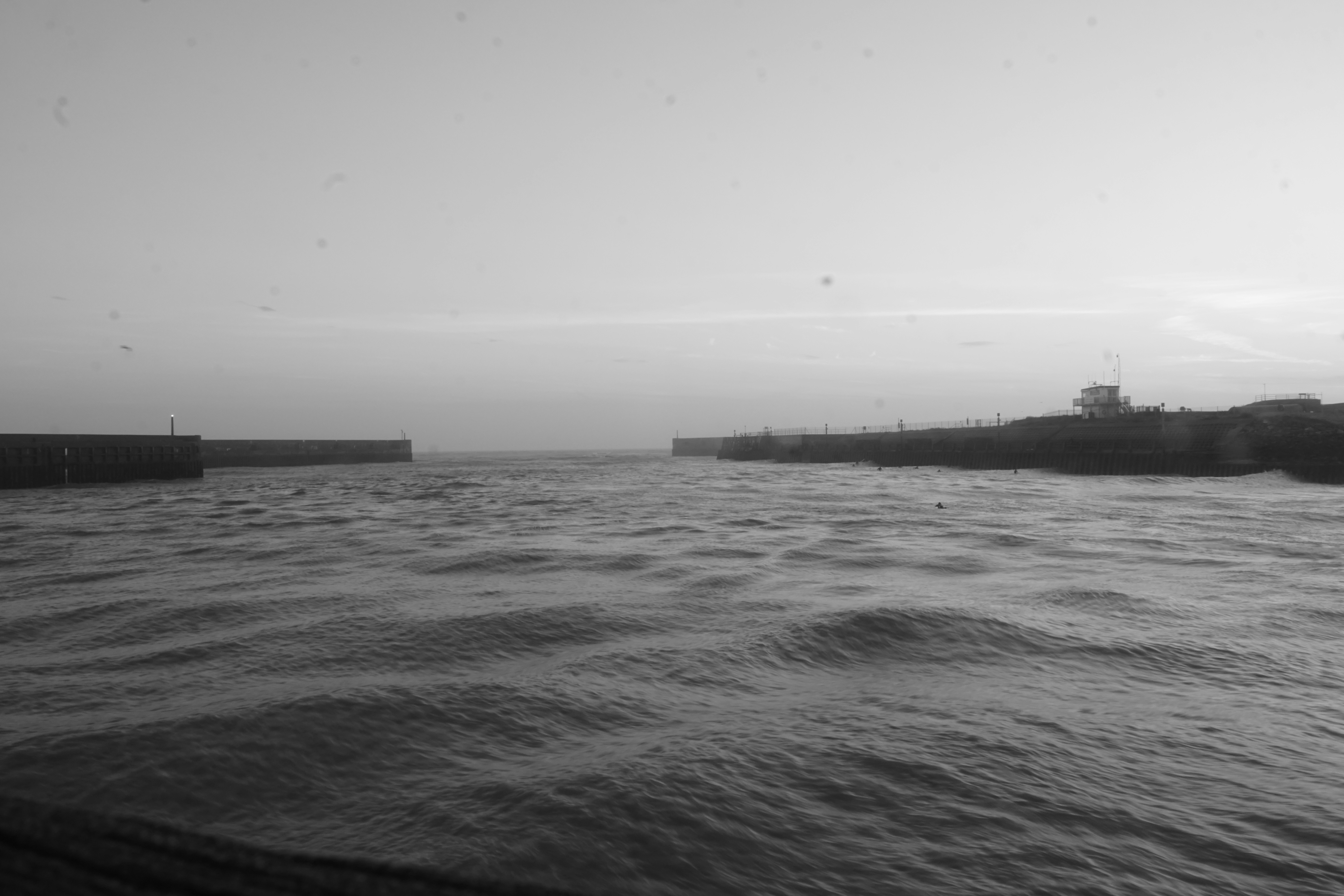 Photo by luca_capron