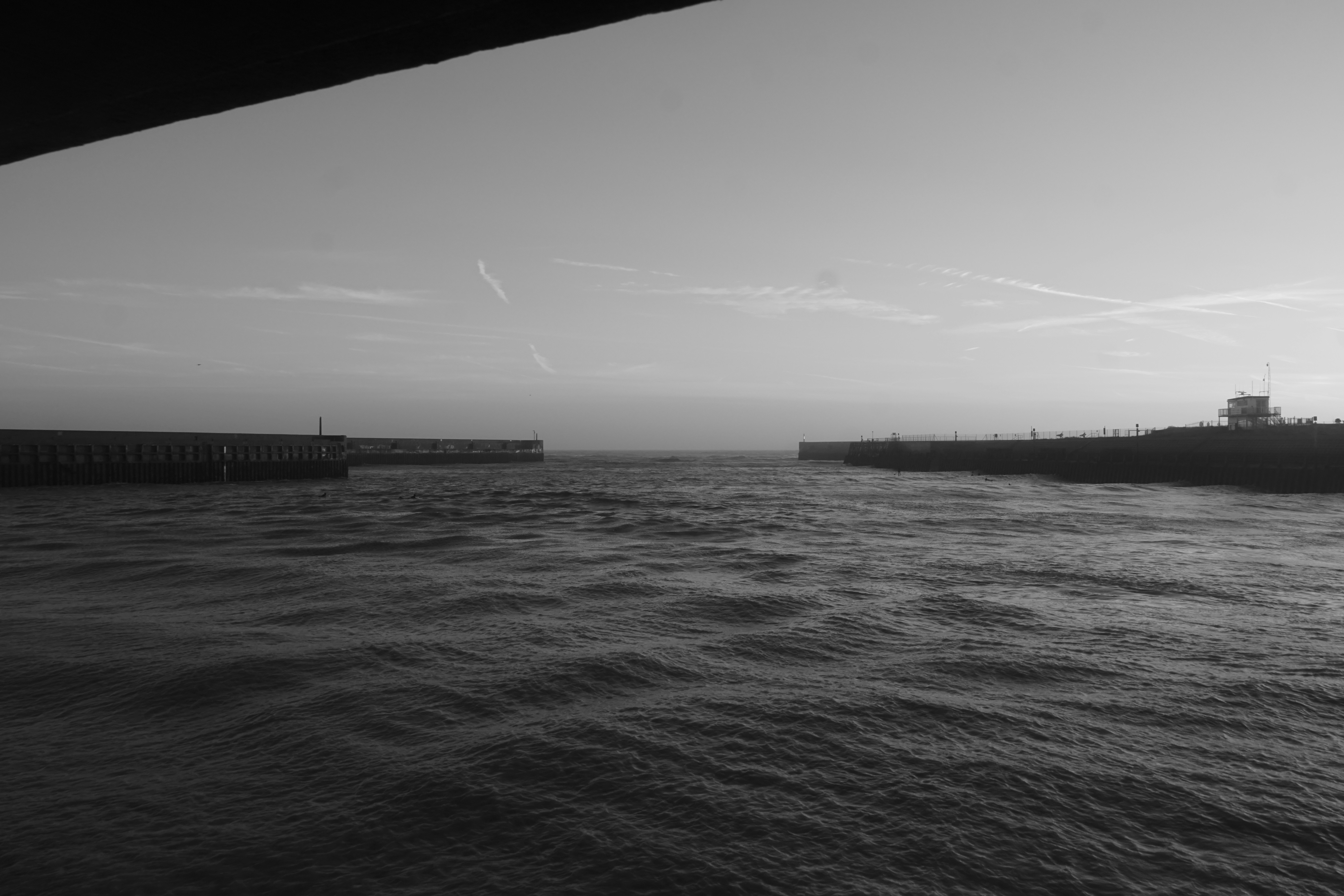 Photo by luca_capron