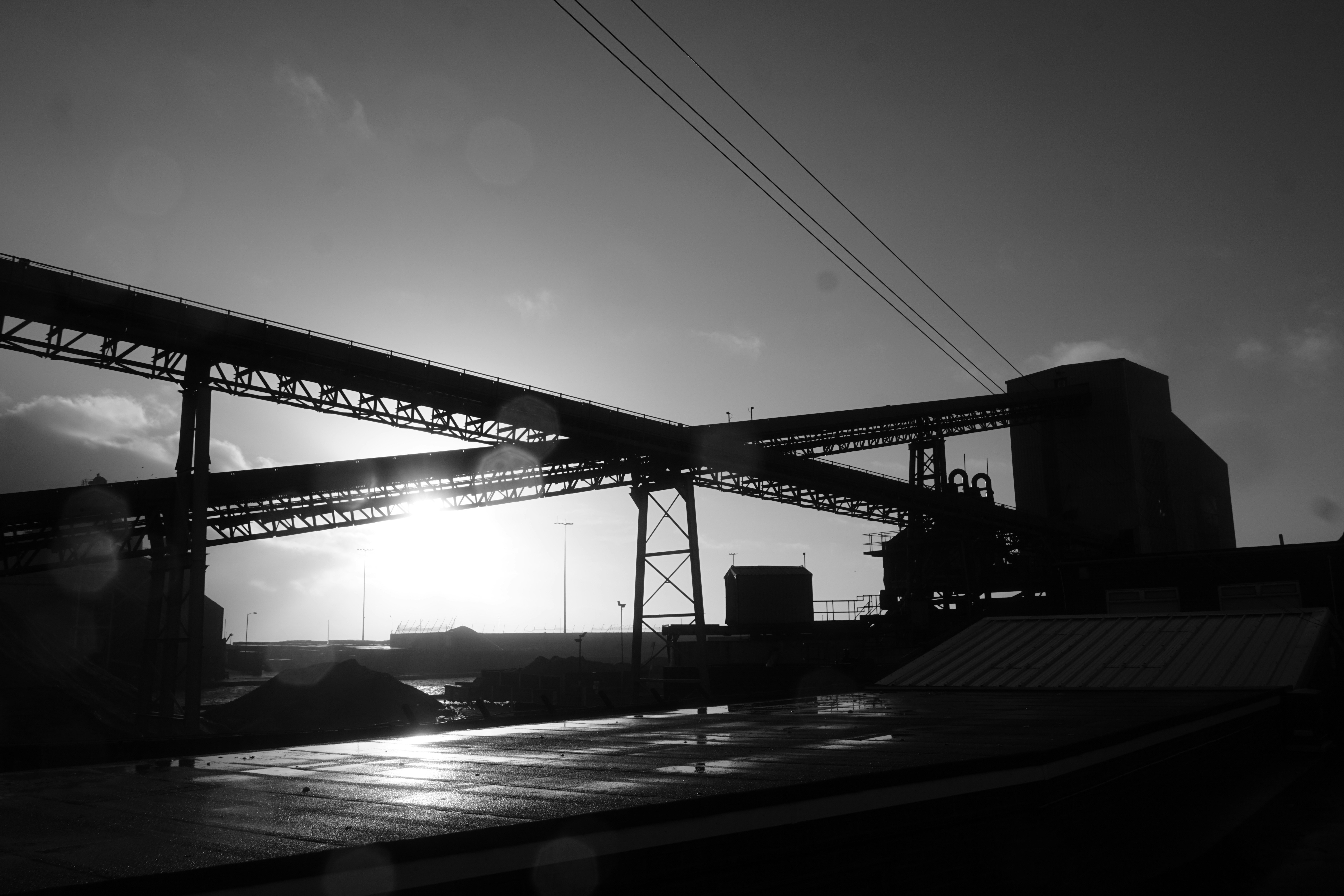 Photo by luca_capron