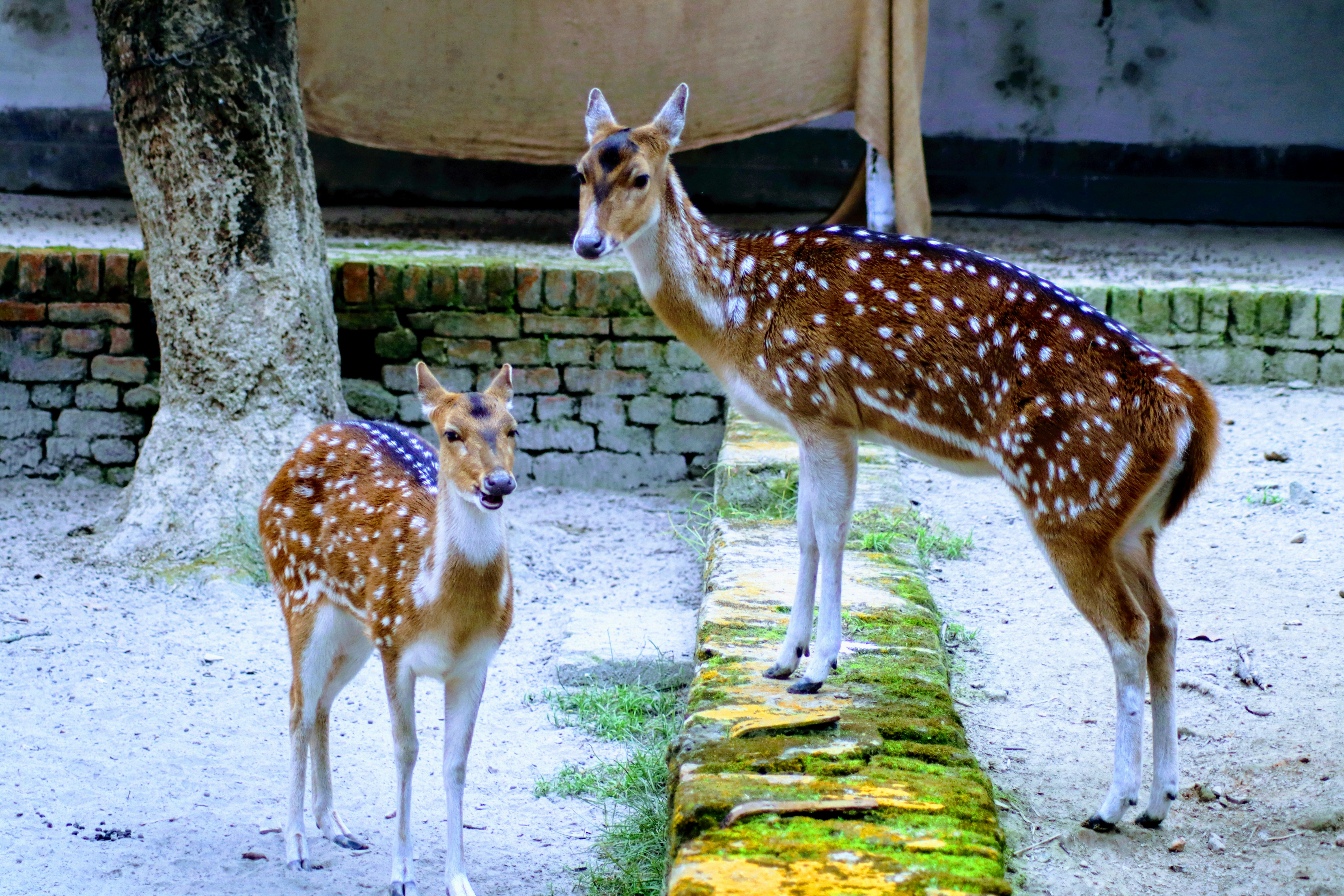 Photo by anirudha_b