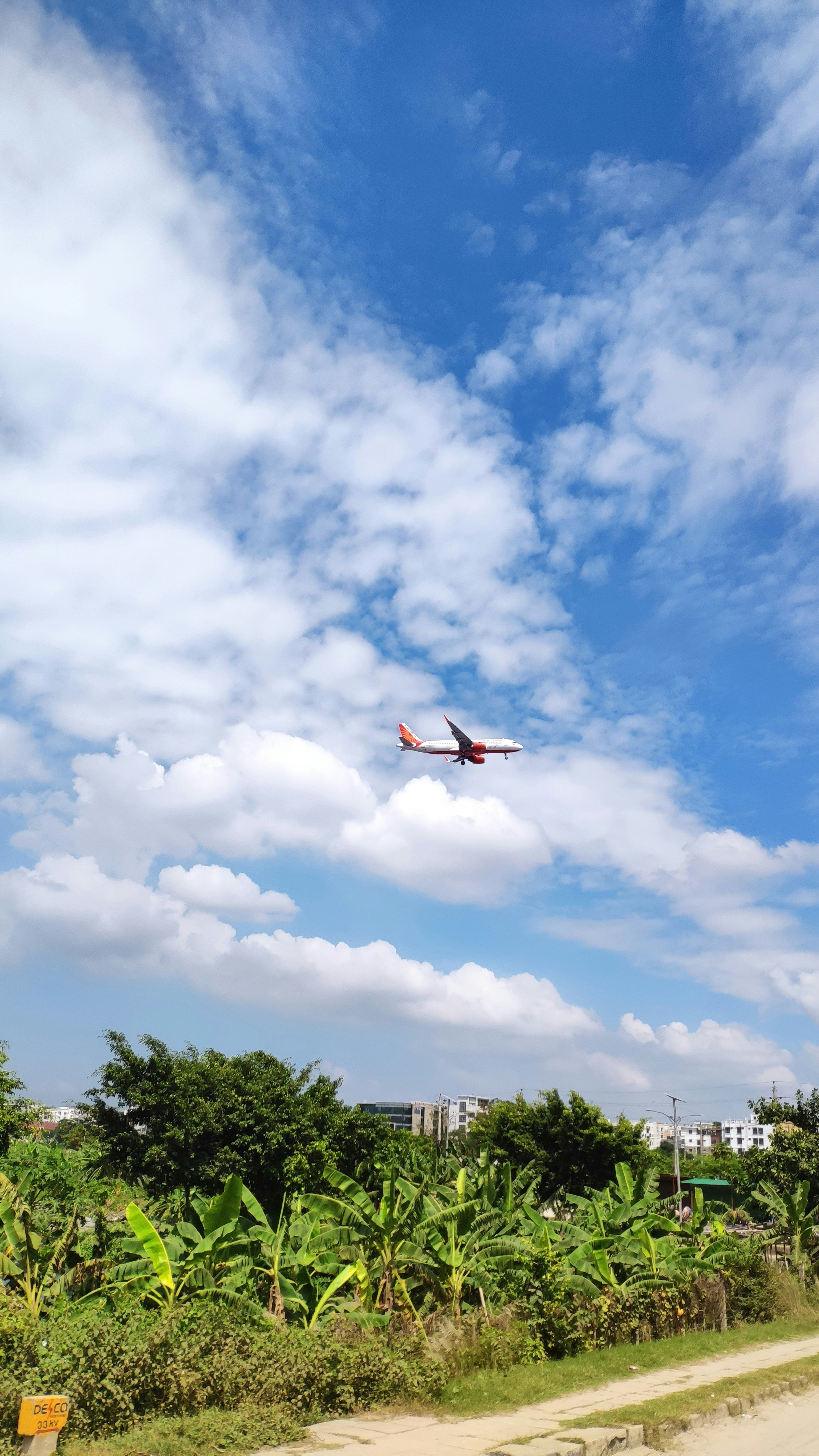 ein Flugzeug, das über einen saftig grünen Wald fliegt