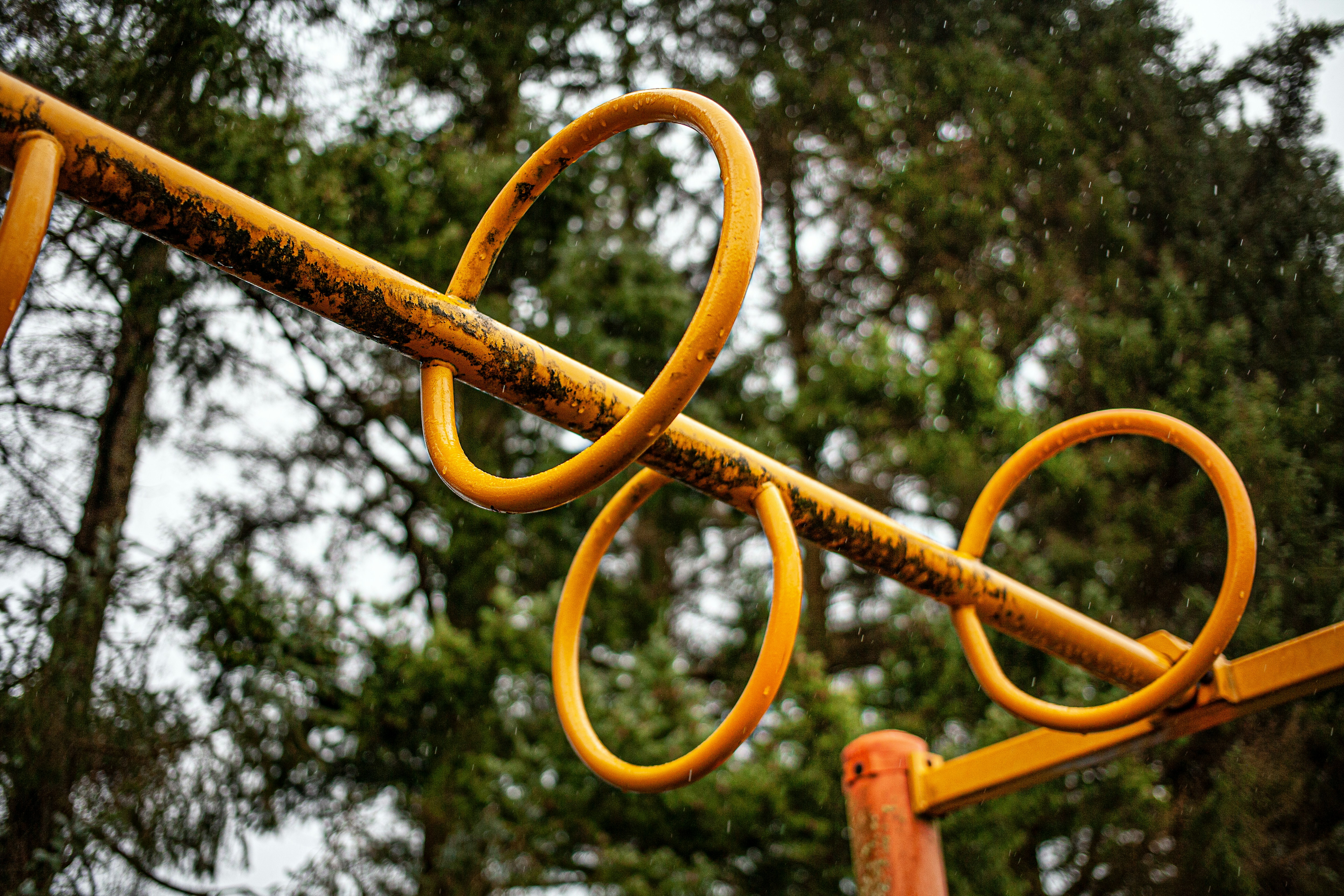 Exciting Developments in Olympic Sports Ahead of 2026 Games