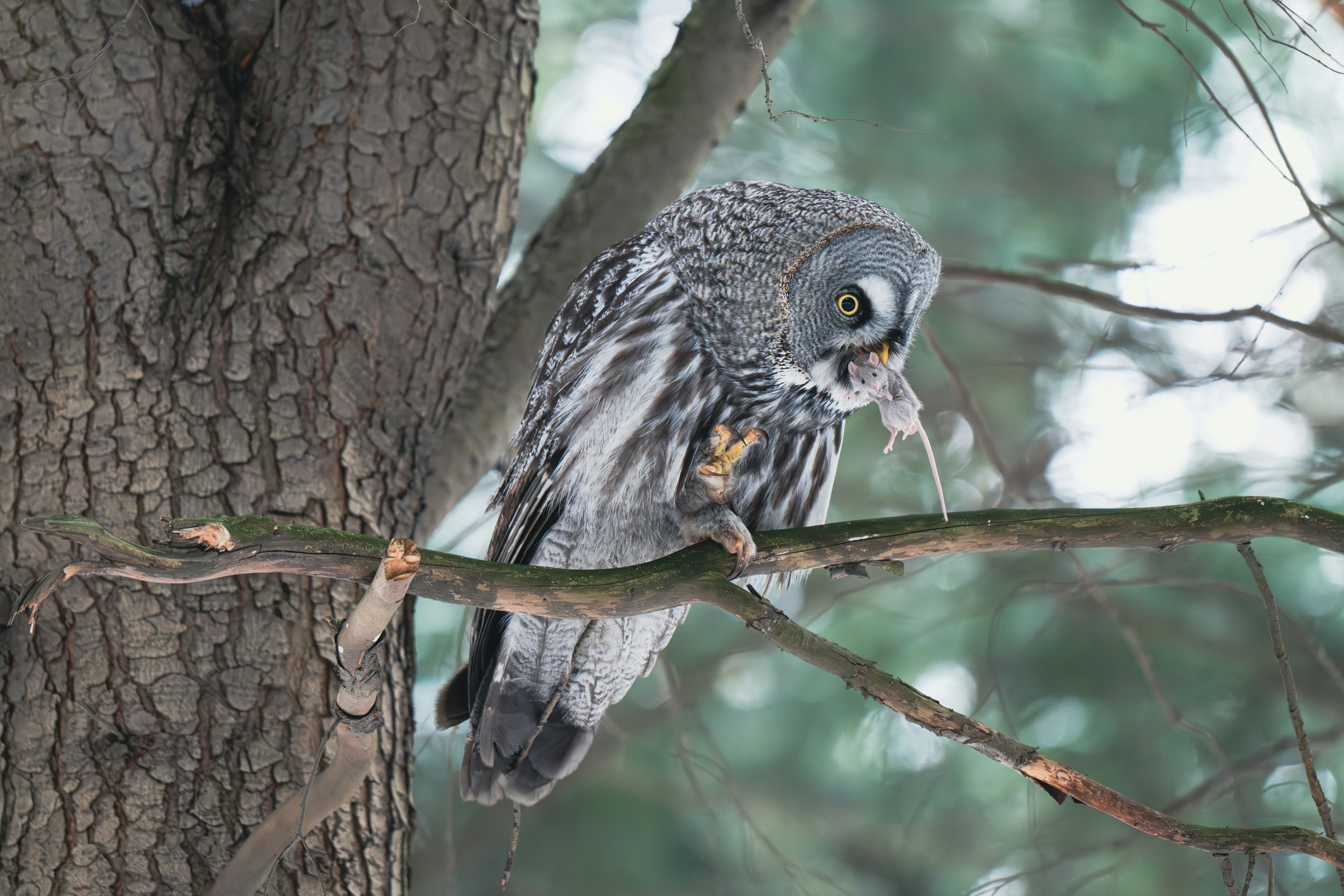 Photo by andreystrizhkov