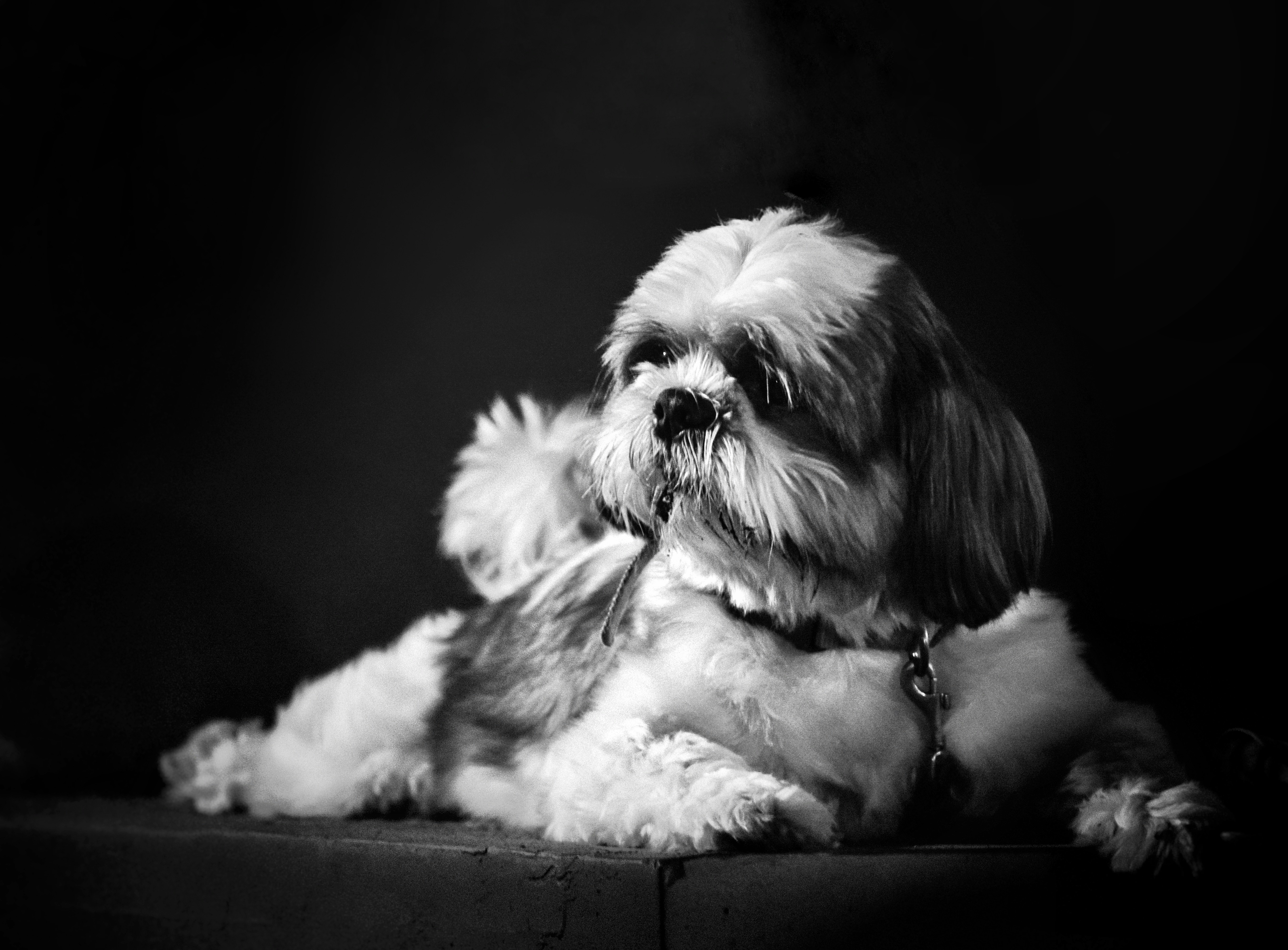 Photo by prithiviraj