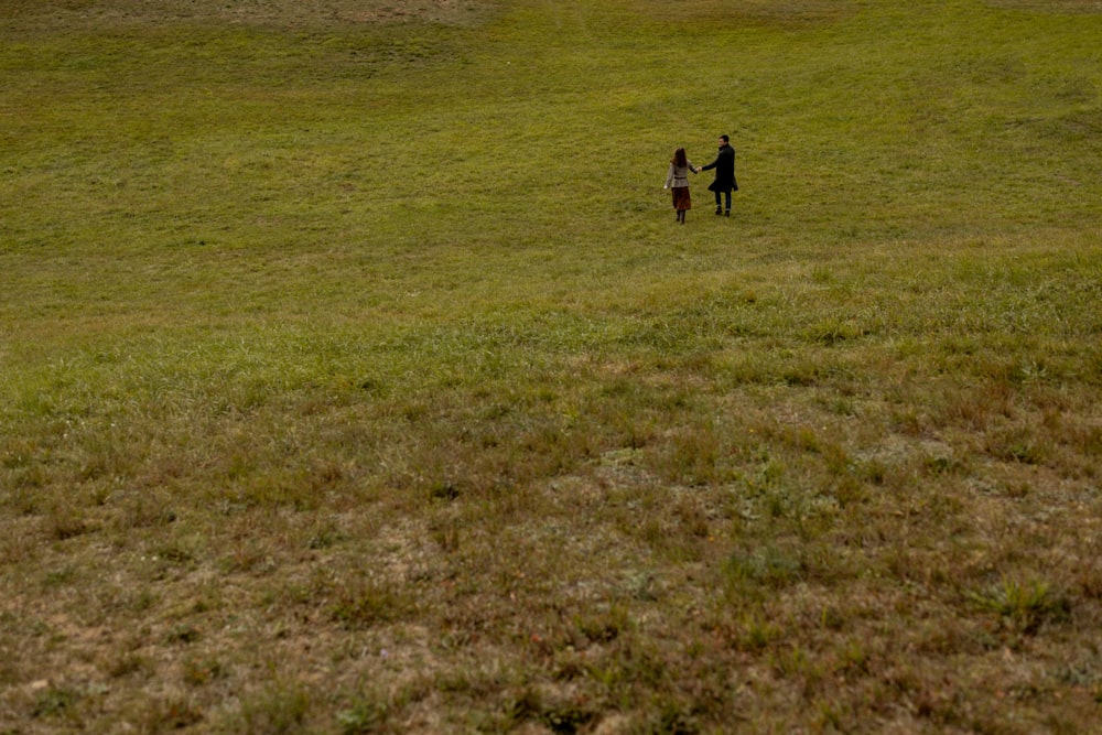 a couple of people standing on top of a lush green field