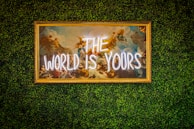 a sign that says the world is yours on a wall