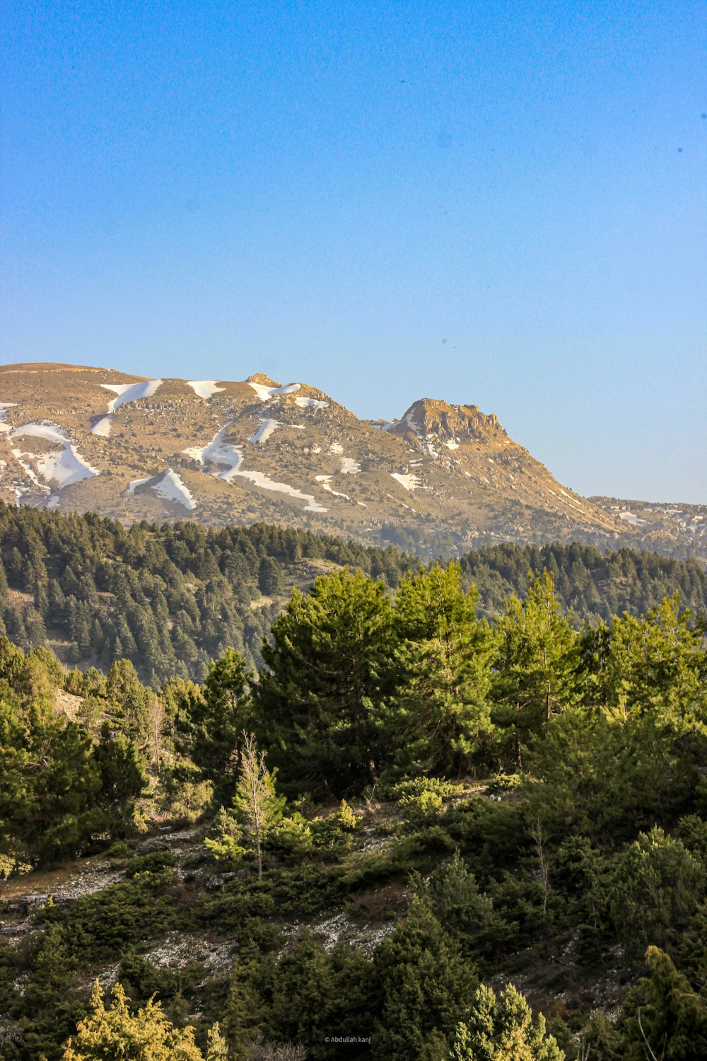 Una vista de una cadena montañosa con árboles en primer plano