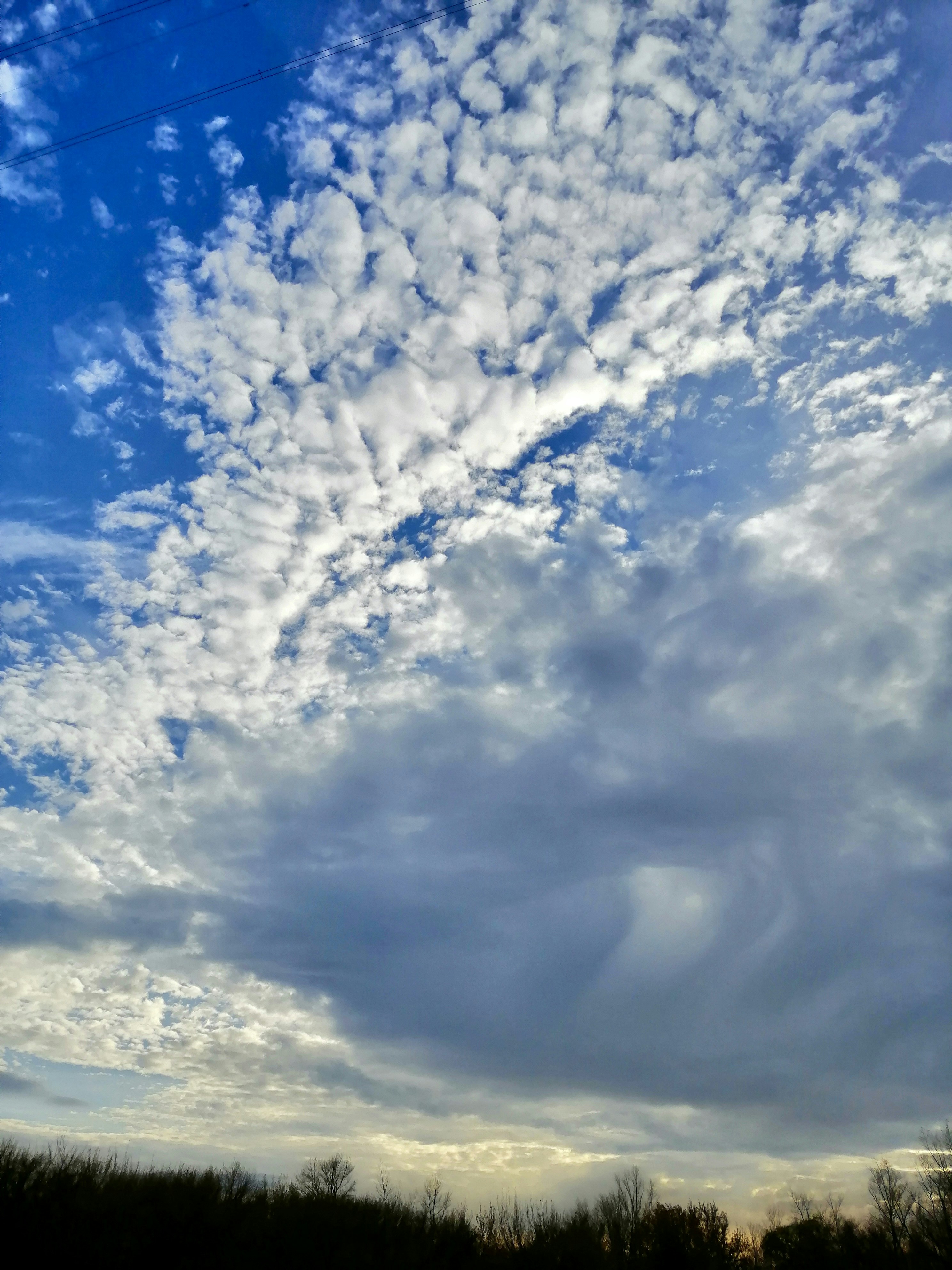 Photo by katrin_bloom