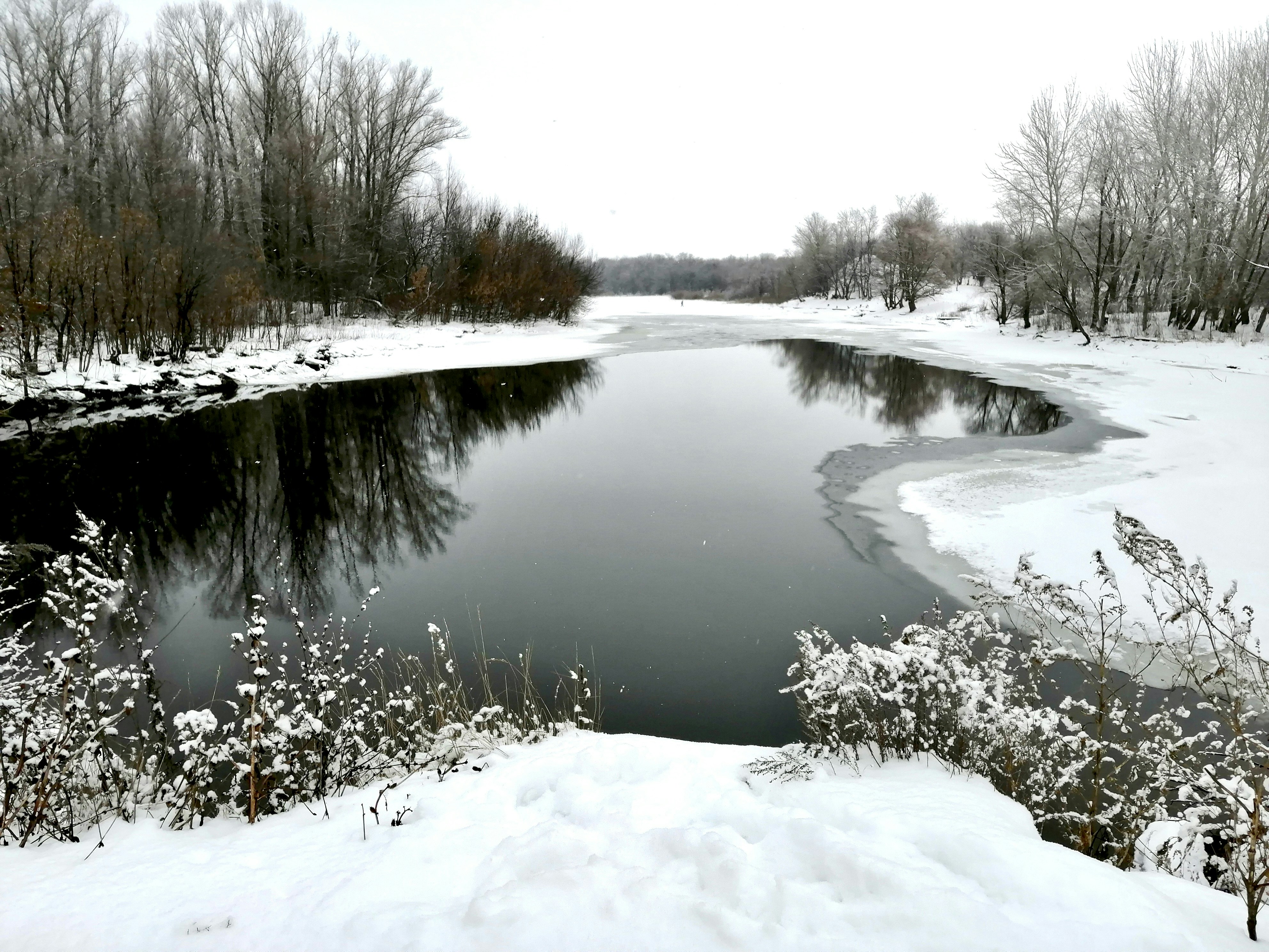 Photo by katrin_bloom