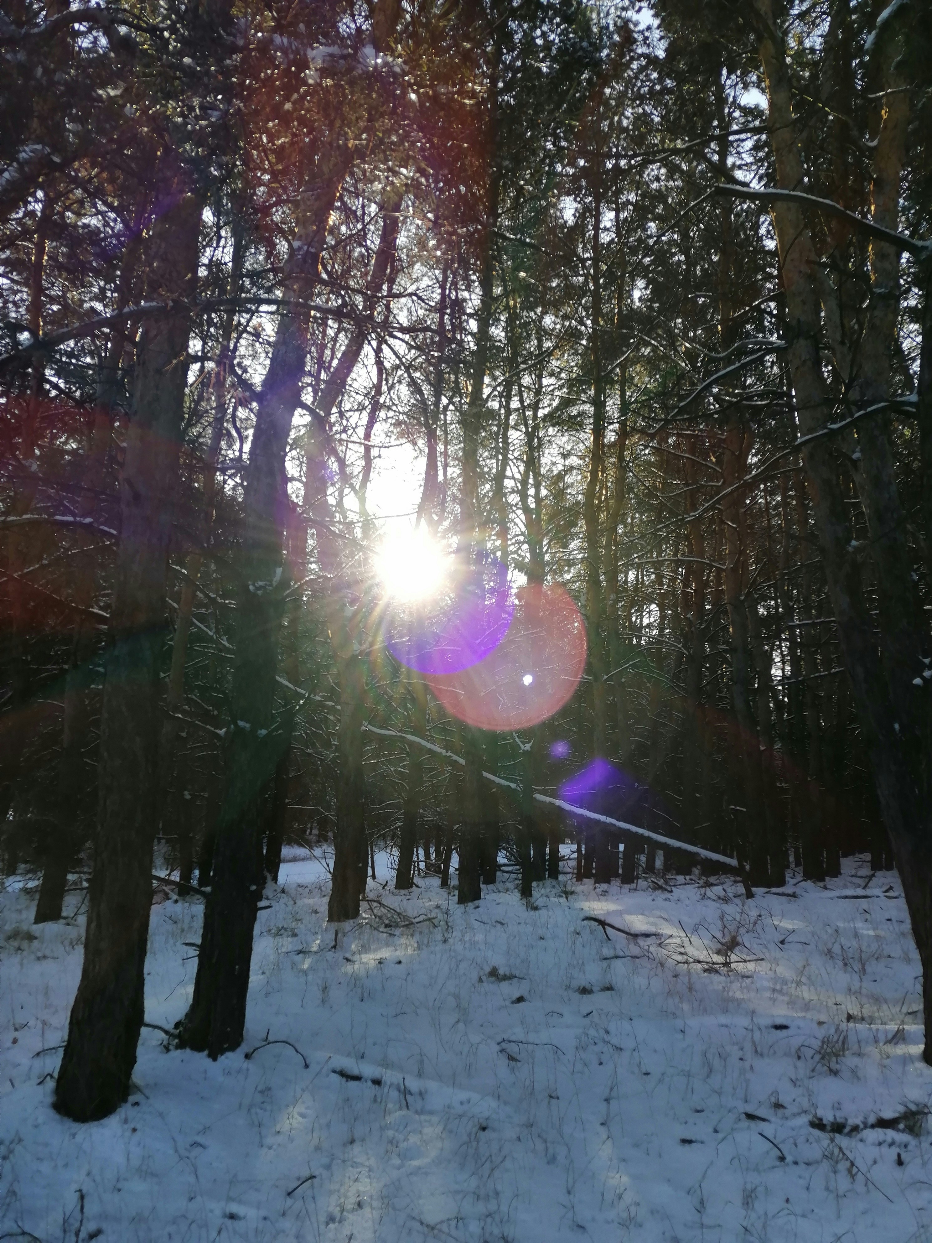 Photo by katrin_bloom